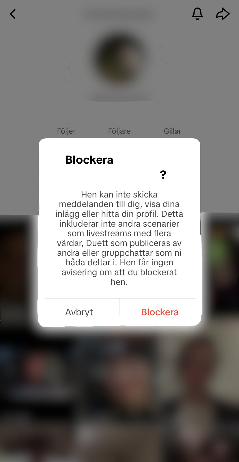 TikTok Blockering 2