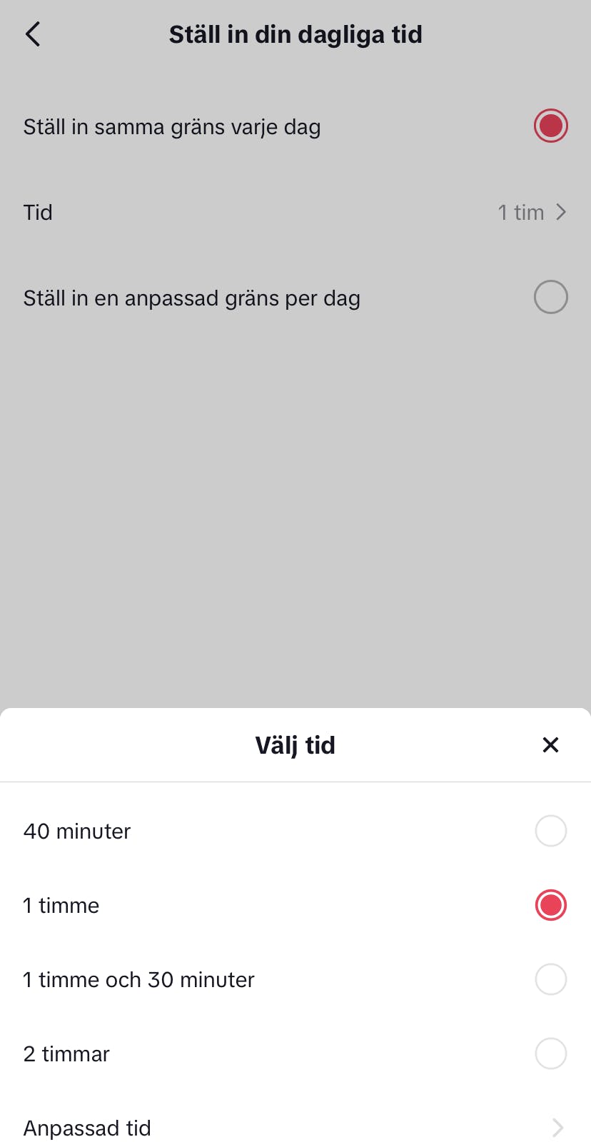 TikTok För föräldrar 2
