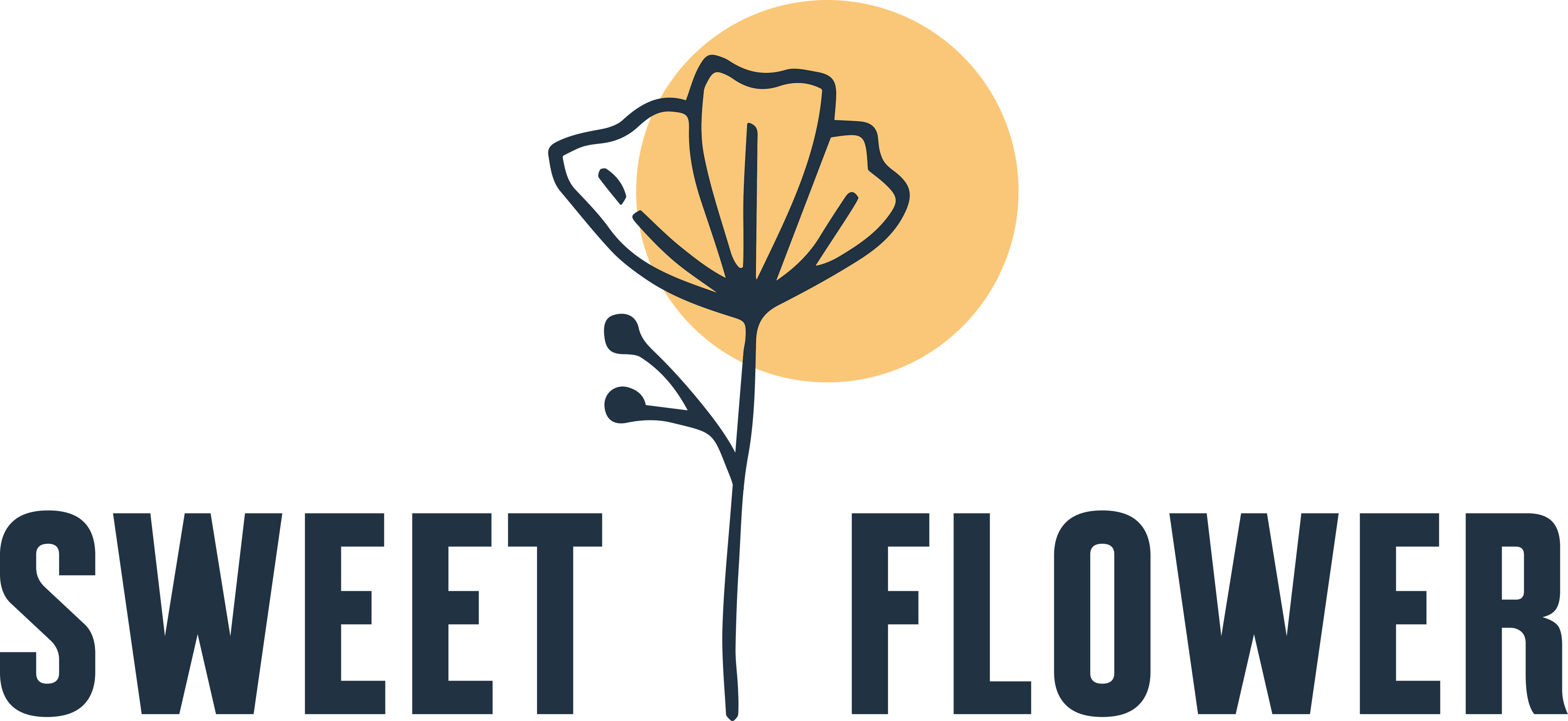 Chico Dispensary & Cannabis Delivery Dispensary in Chico Sweet Flower