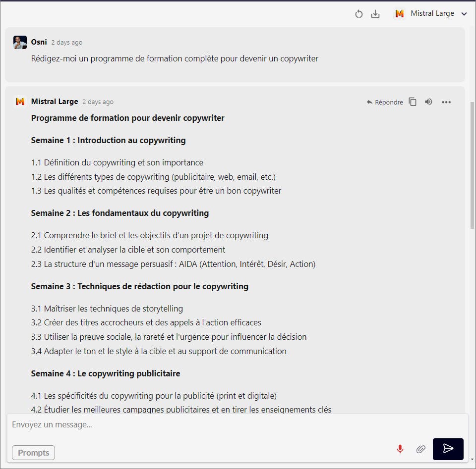 cas d'usage de Mistral Large