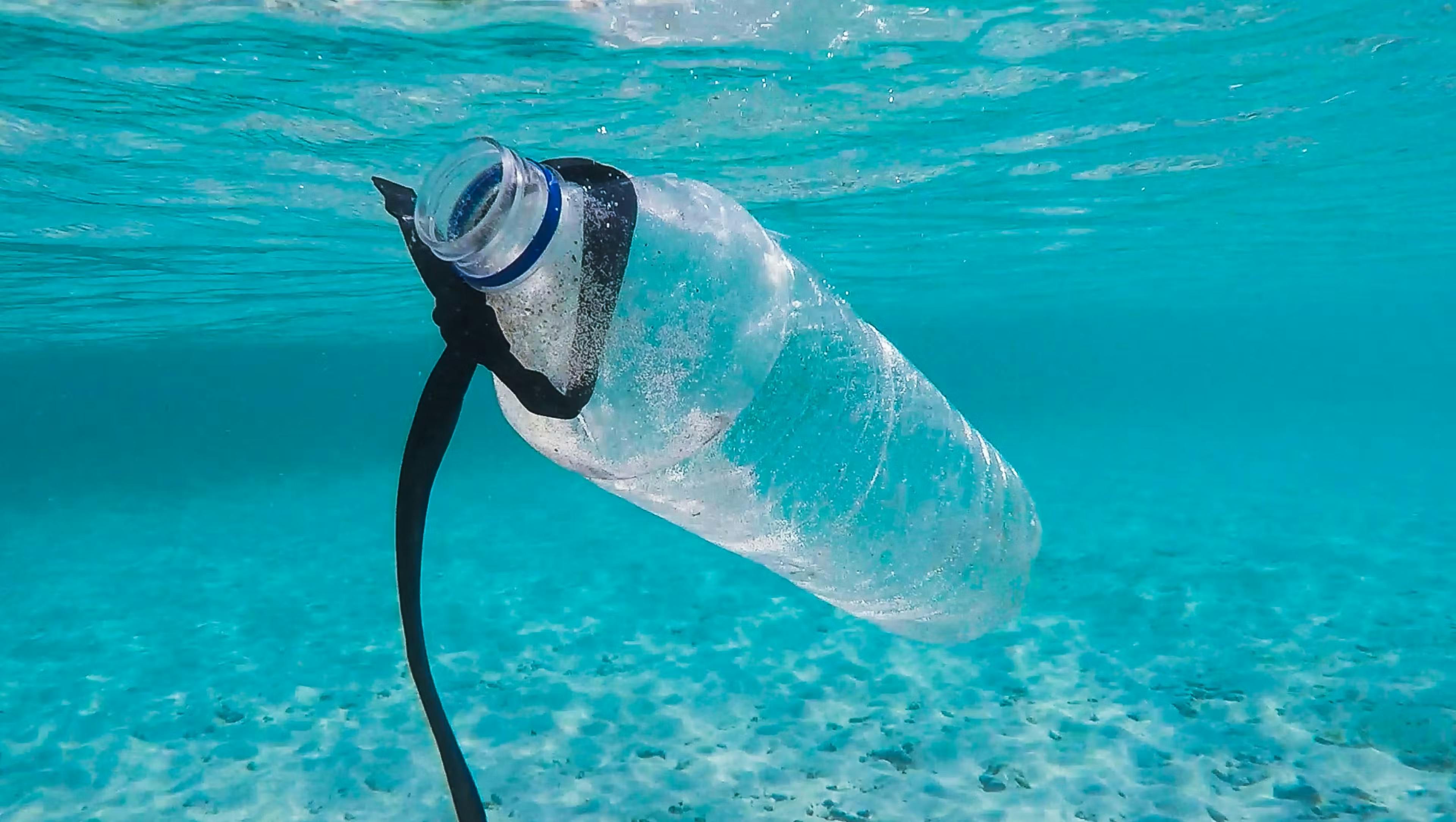 Water bottle in ocean
