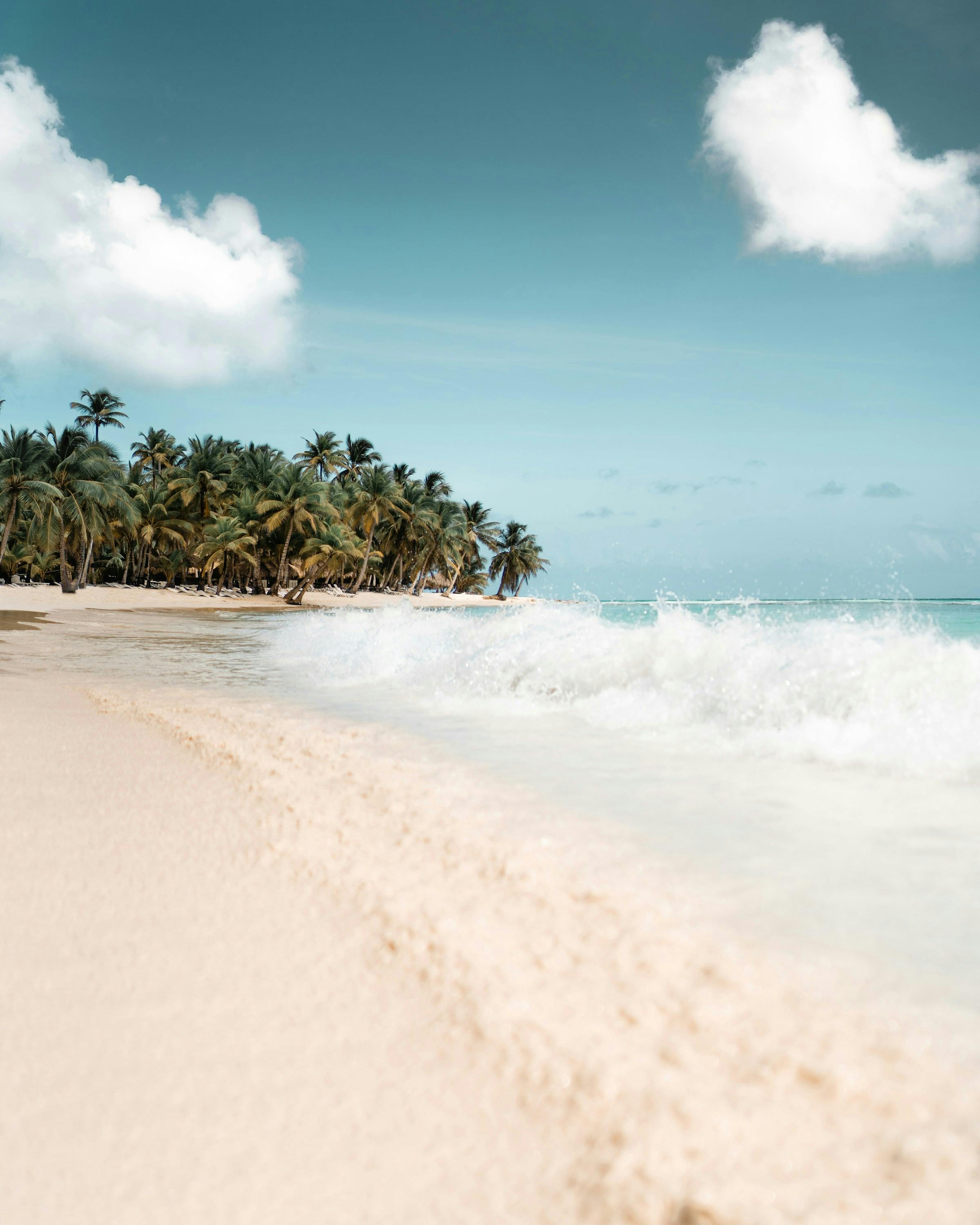 Image of a beach in the Dominican Republic