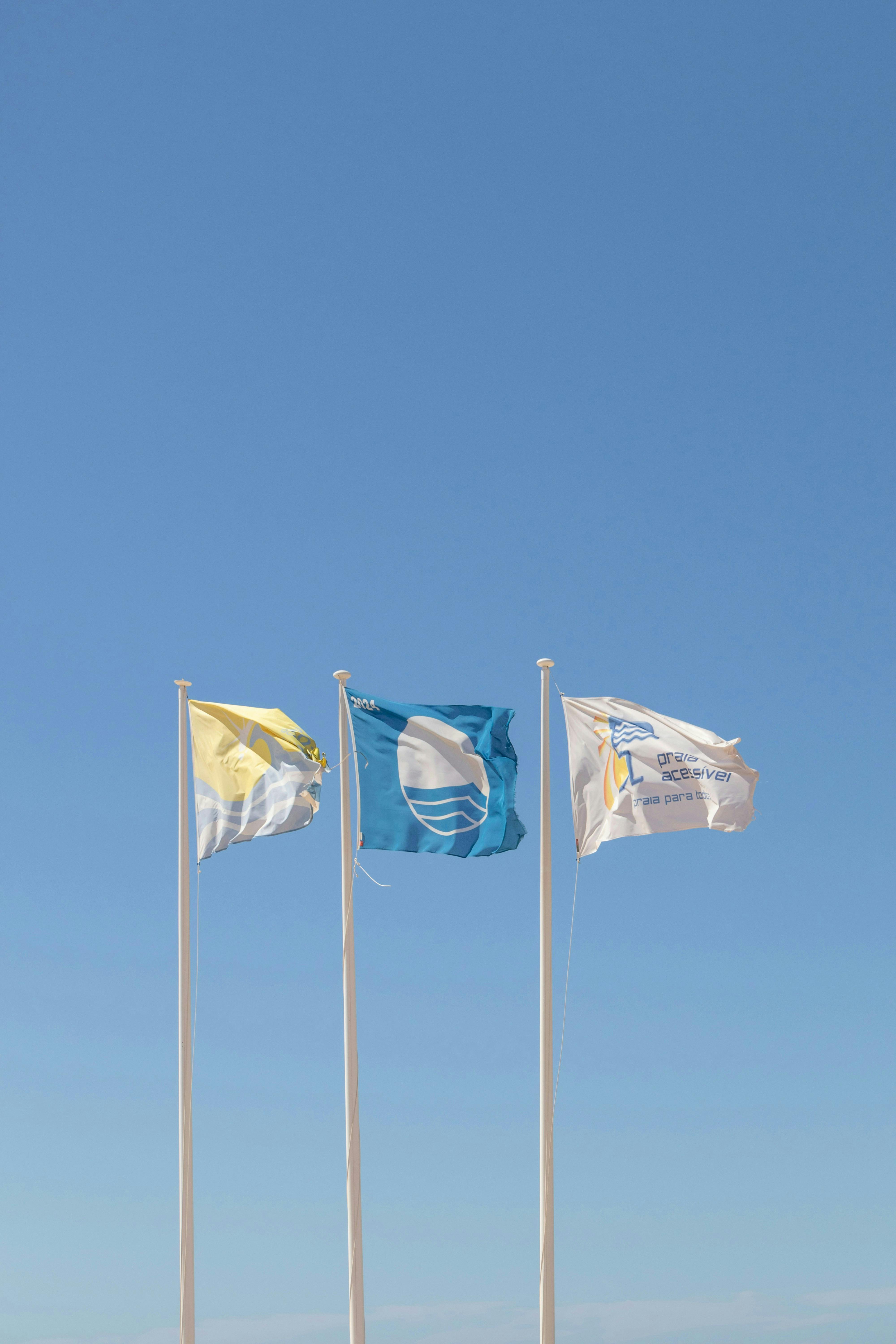 Image of Blue Flag 