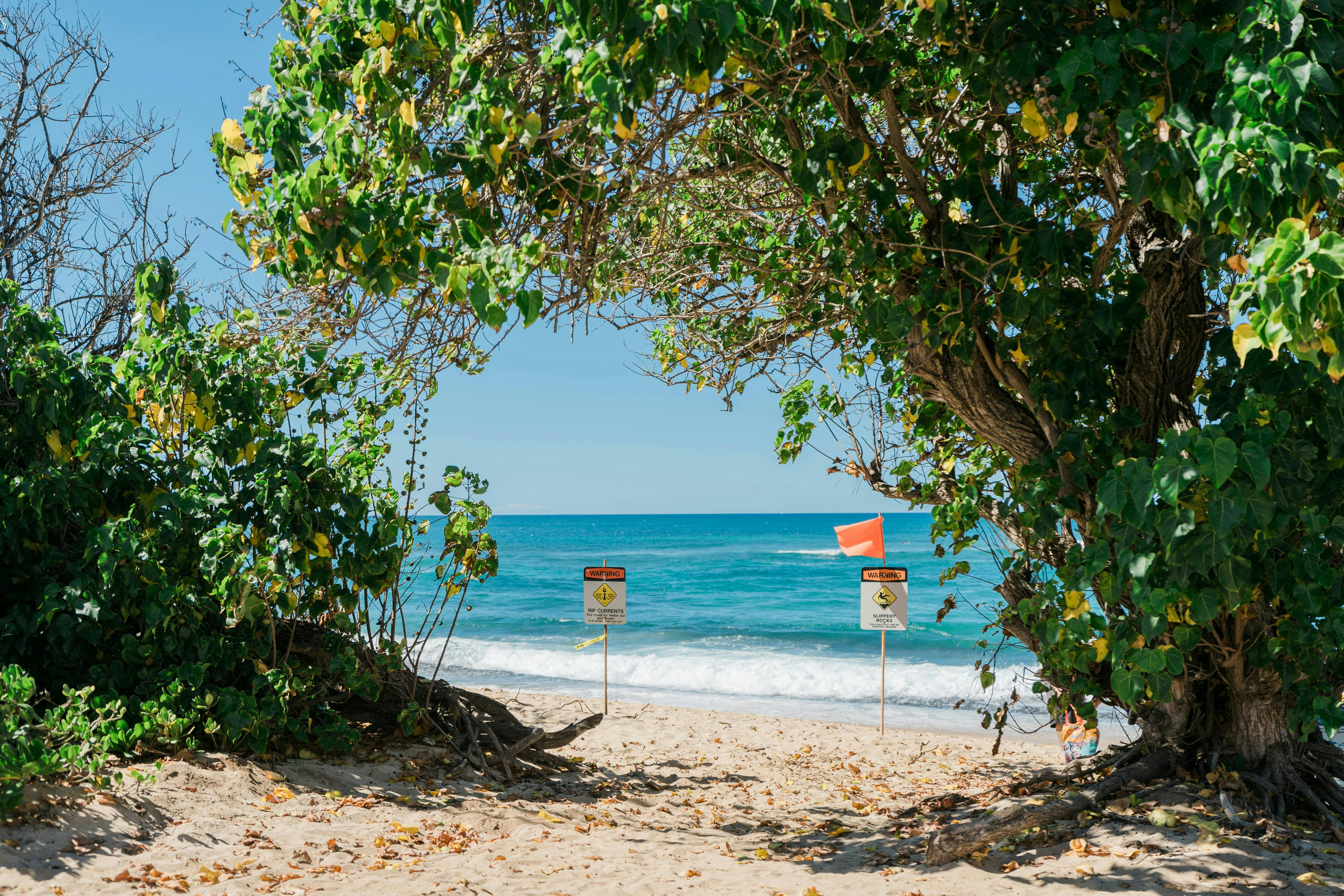 Signs on a beach warning of rip currents.