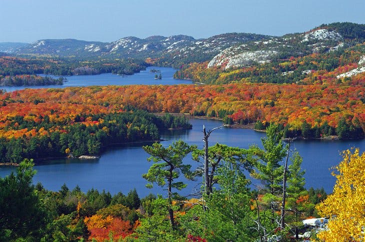 Orange and yellow deciduous trees spotted in between tall evergreens, blanketing the landscape. A blue river cuts through, disappearing into the mountains in the distance.