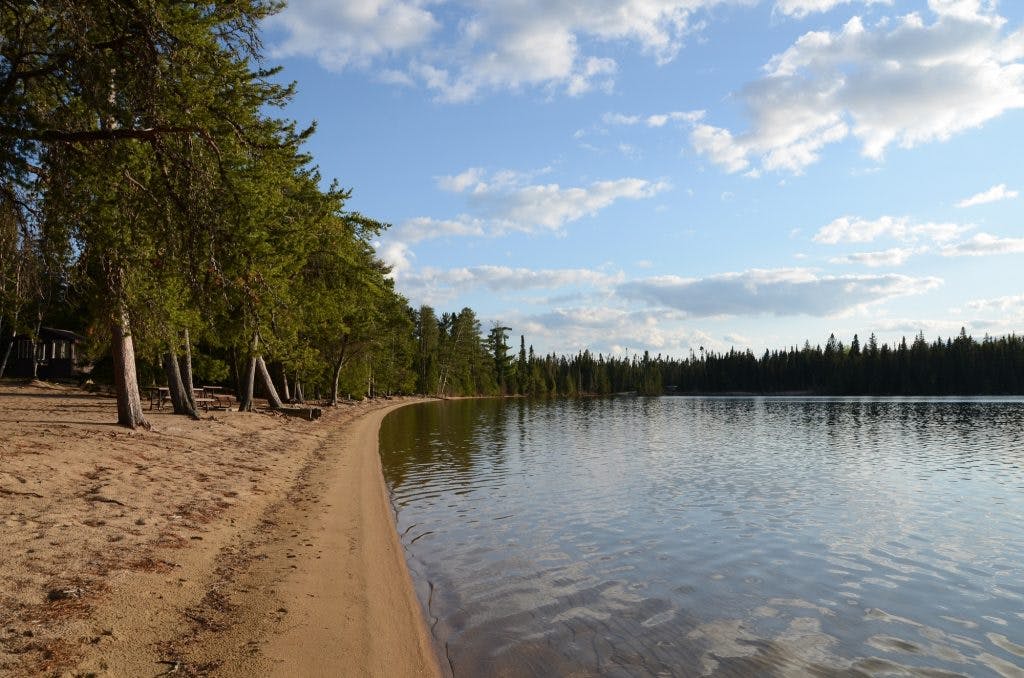 The sandy shores curve around a clear lake. Evergreens corral around the water, their branches creating a thick green veil.