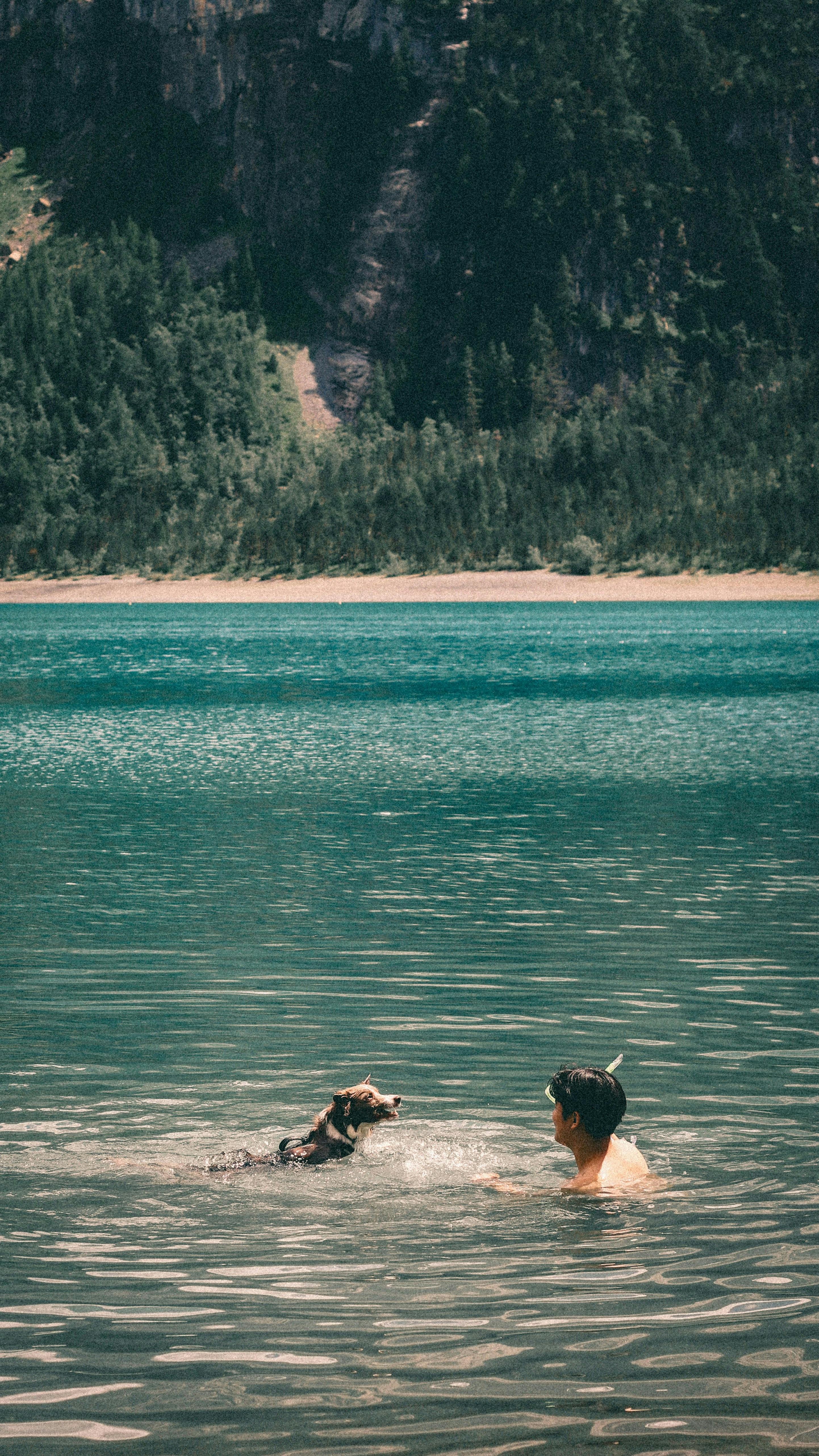 Man and dog splashing in a lake. 