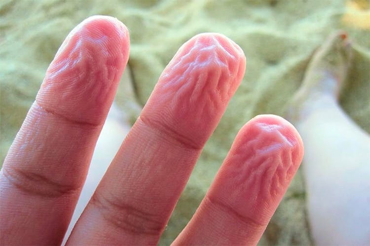 Person holds up hand to camera, showing wrinkled fingers from spending time in the water. 