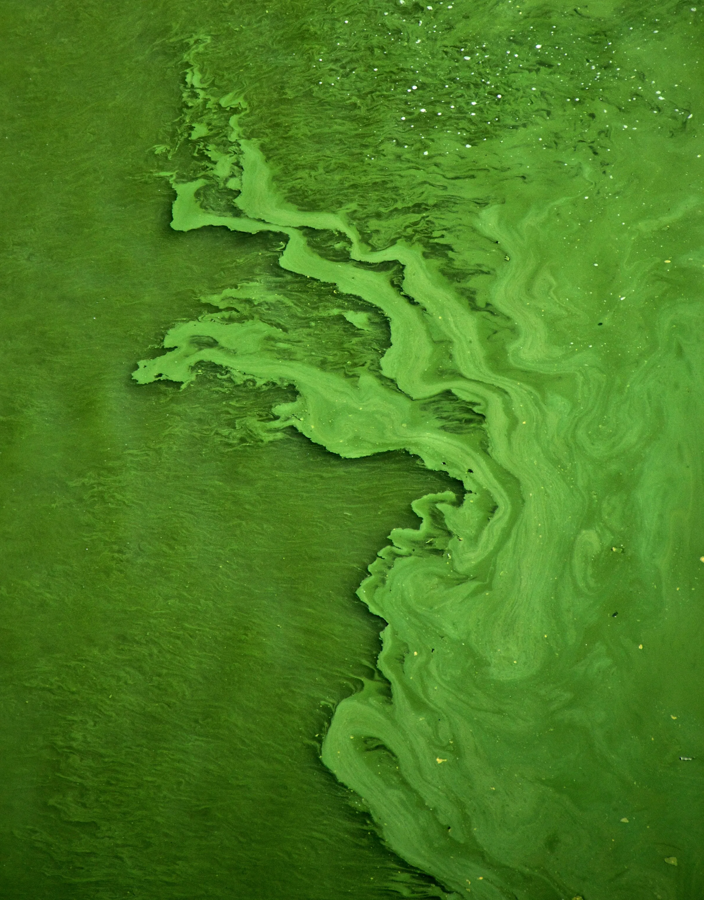 Photo by <a href="https://unsplash.com/@mihaly_koles?utm_source=unsplash&utm_medium=referral&utm_content=creditCopyText">Mihály Köles</a> on <a href="https://unsplash.com/photos/green-color-water-gR_AgAcP7jI?utm_source=unsplash&utm_medium=referral&utm_content=creditCopyText">Unsplash</a>