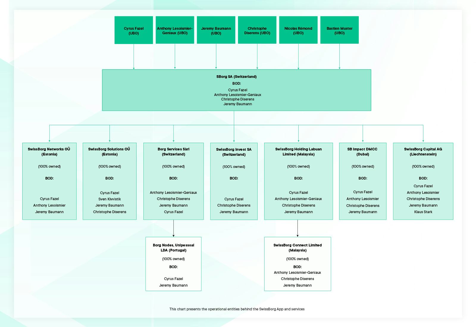 wissBorg’s Operational Entities Organisational Chart