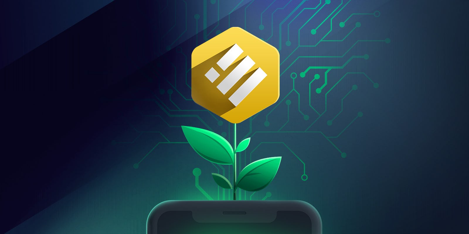Le BUSD et son Smart Yield wallet !