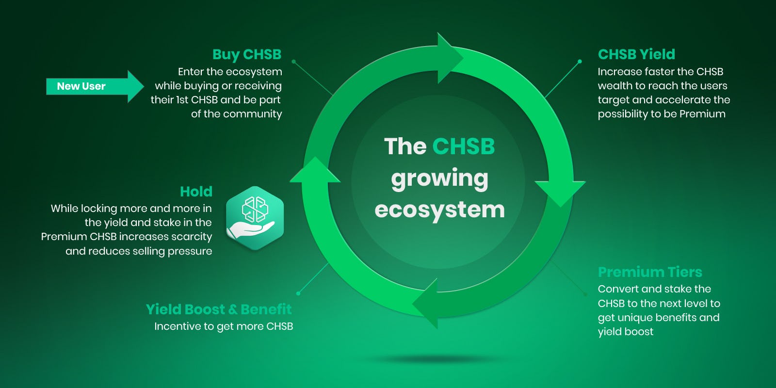 The CHSB growing ecosystem 
