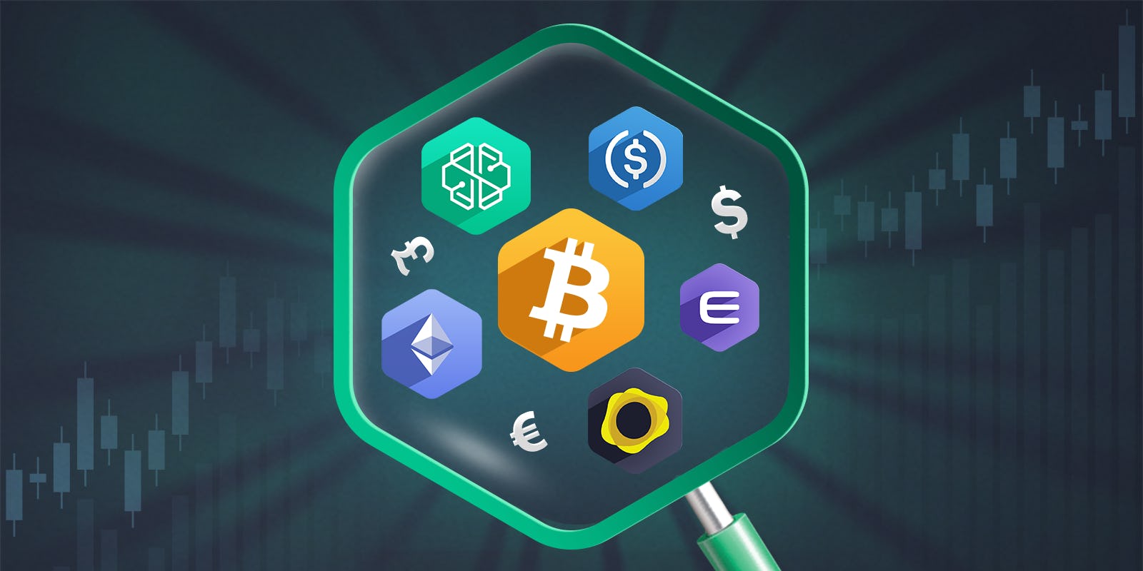 An Introduction To Altcoins