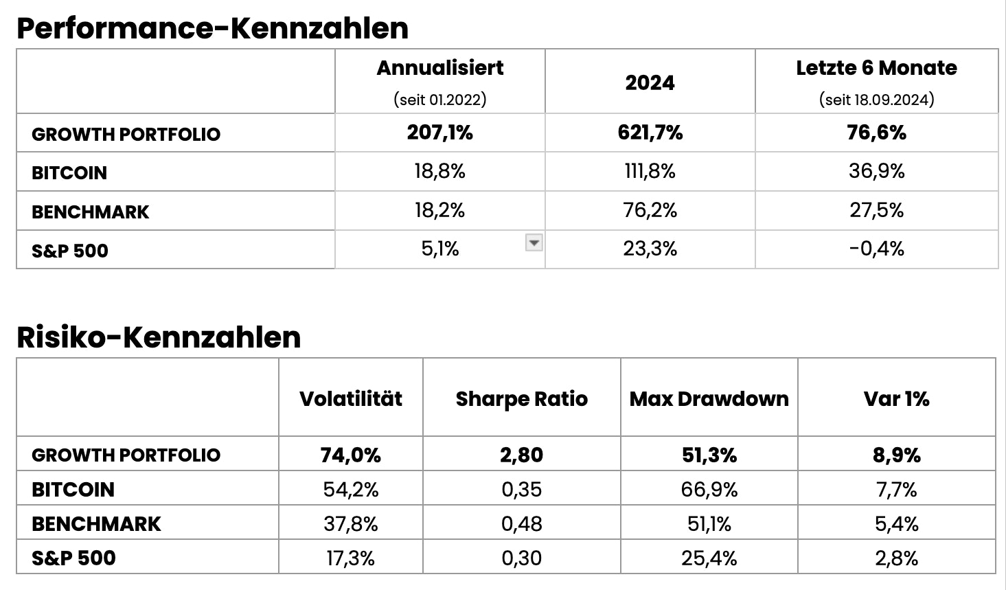 Performance und Risiko Growth Portfolio