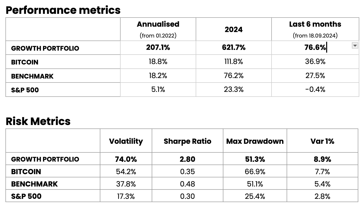 Growth Portfolio Performance and Risk metrics