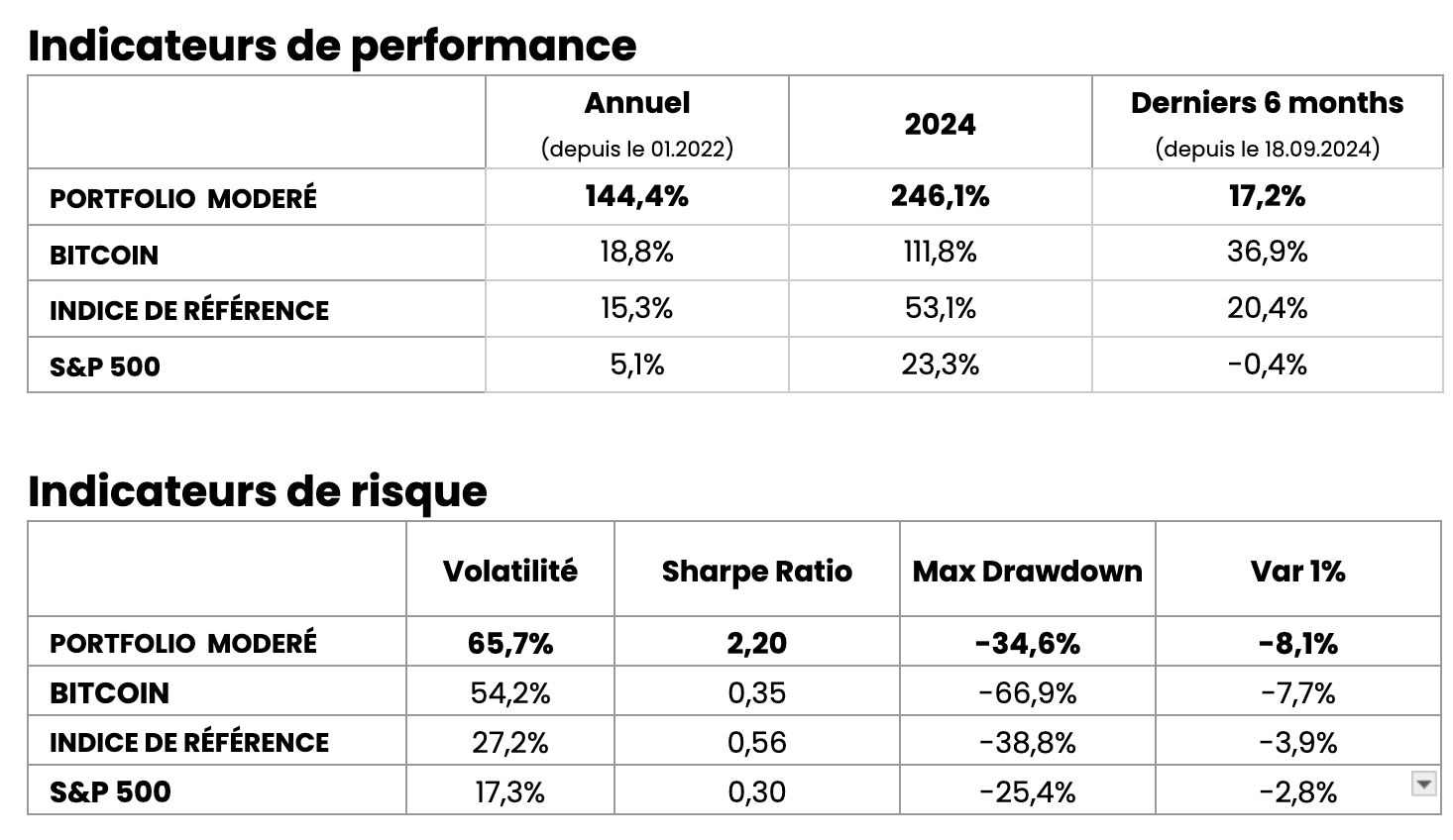 Indicateurs de performance et de risque Moderate portfolio