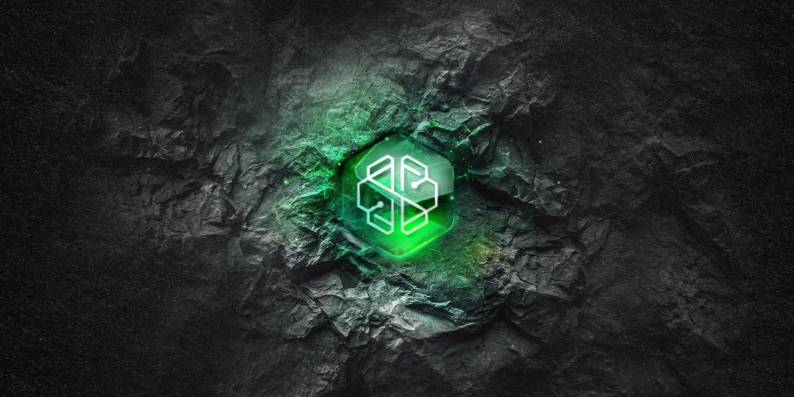 BORG investment thesis