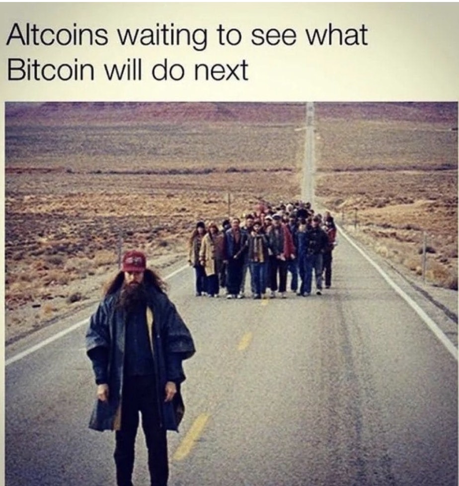 Meme of the month: Altcoins waiting to see what Bitcoin will do next