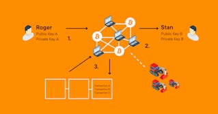 Bitcoin (BTC) Payment Transaction