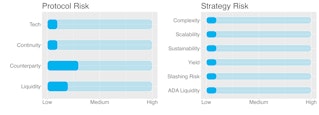 Protocol and Strategy Risk