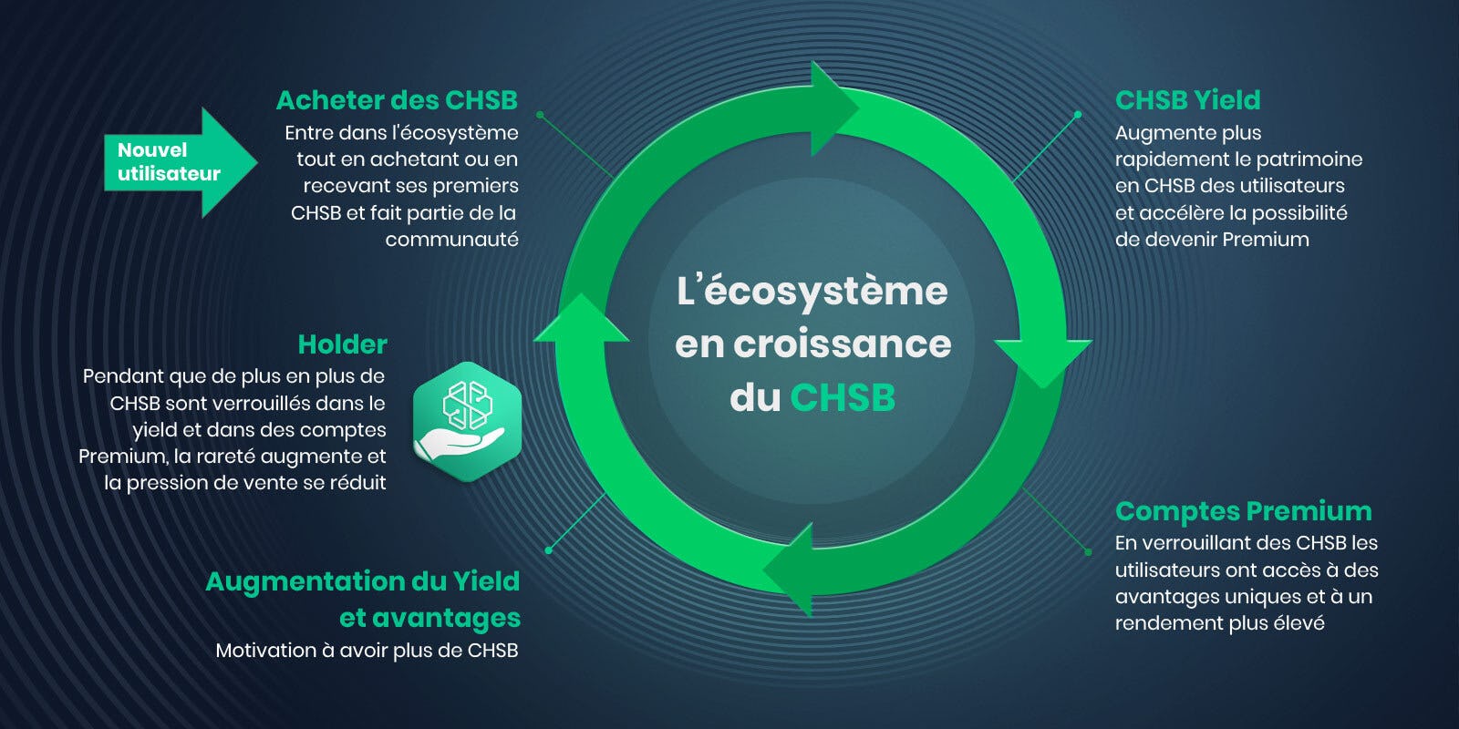 CHSB ecosystem