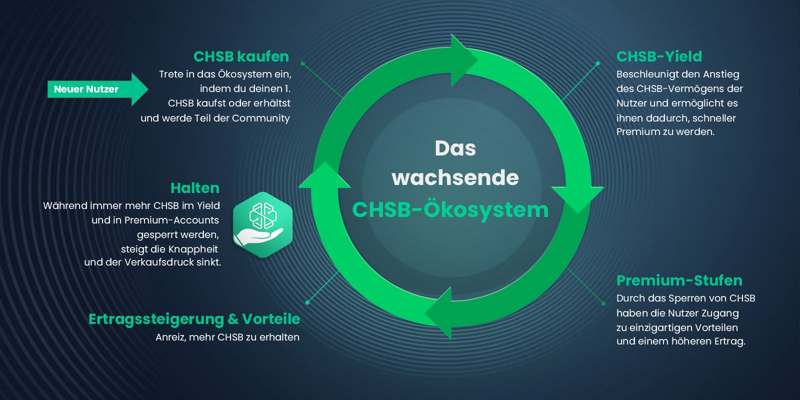 CHSB Ecosystem