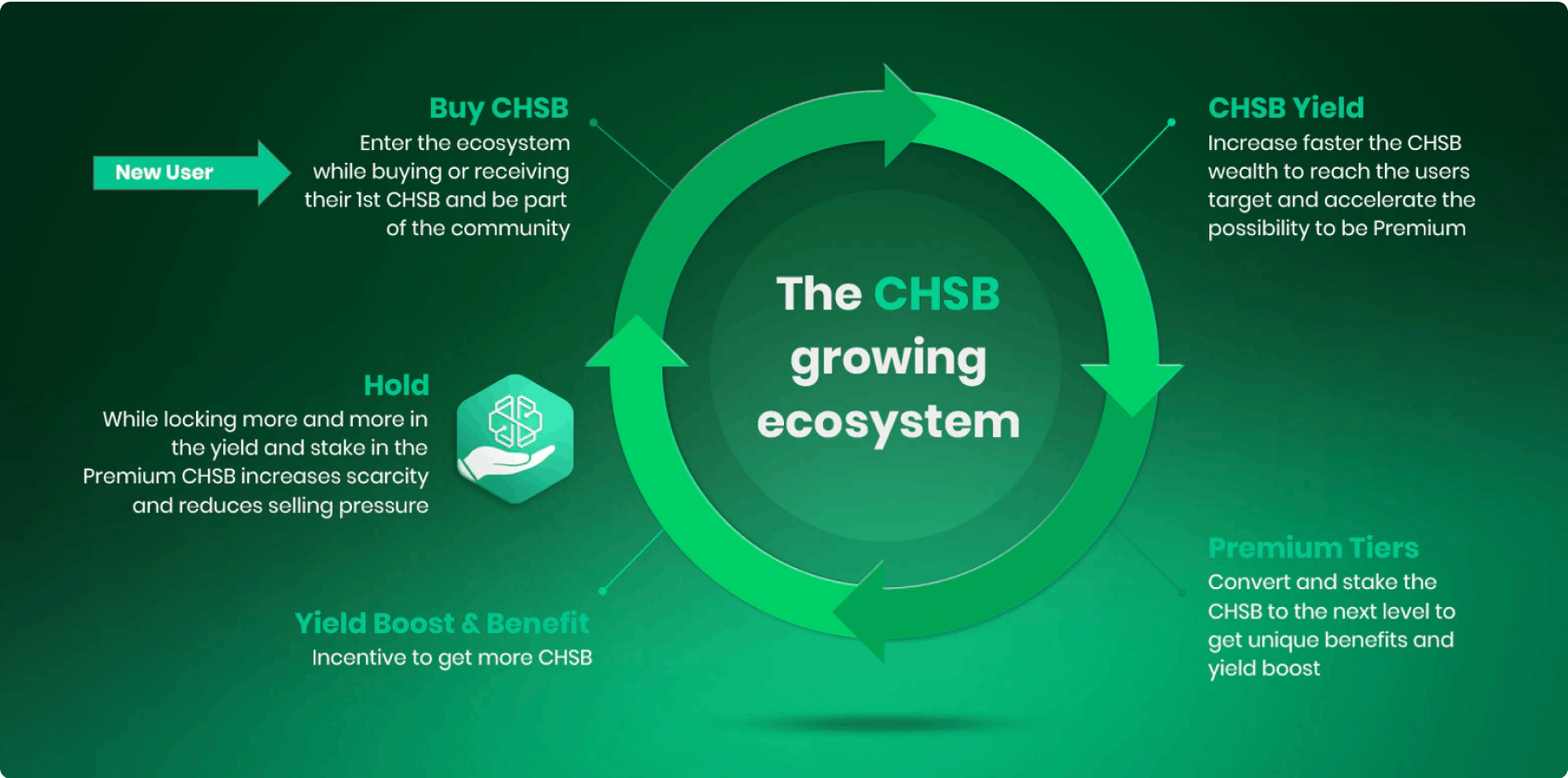 The CHSB growing ecosystem