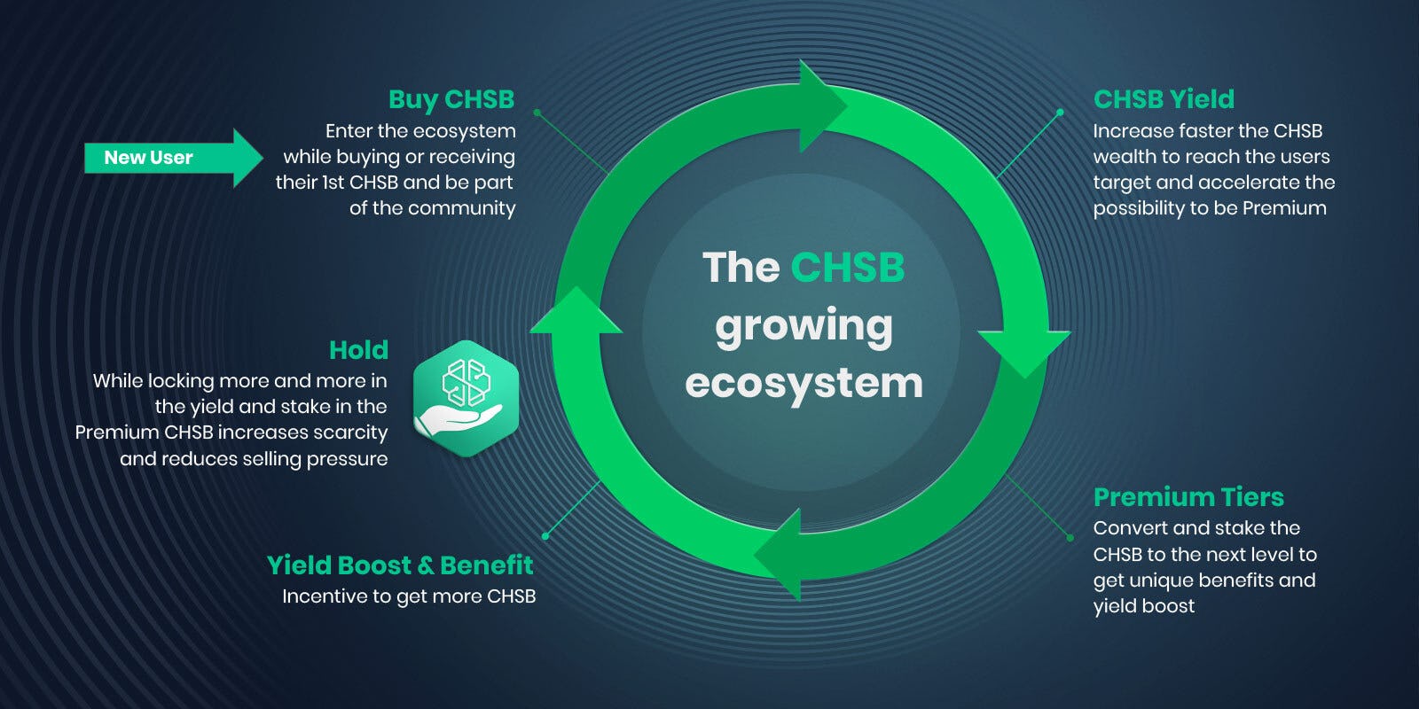 CHSB Ecosystem
