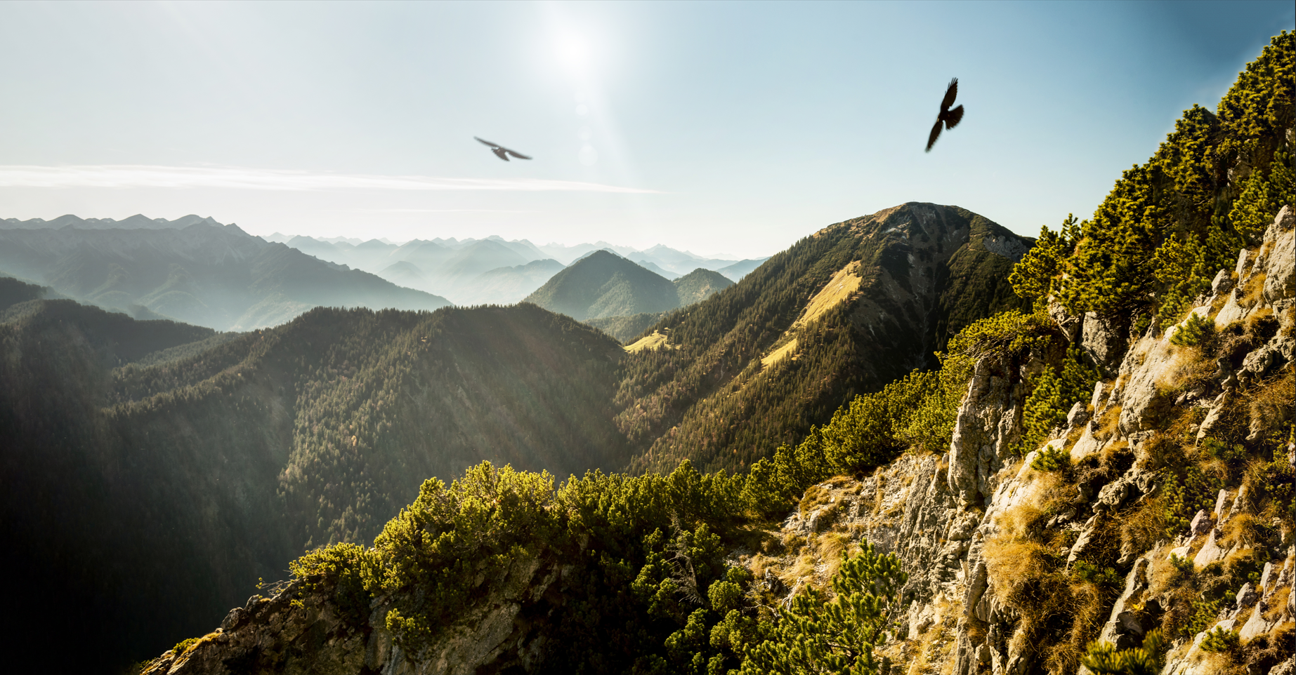 La biodiversité : un sujet multidimensionnel