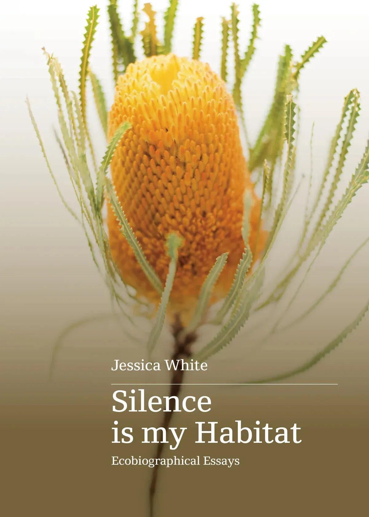 Silence is my Habitat: Ecobiographical Essays by Jessica White