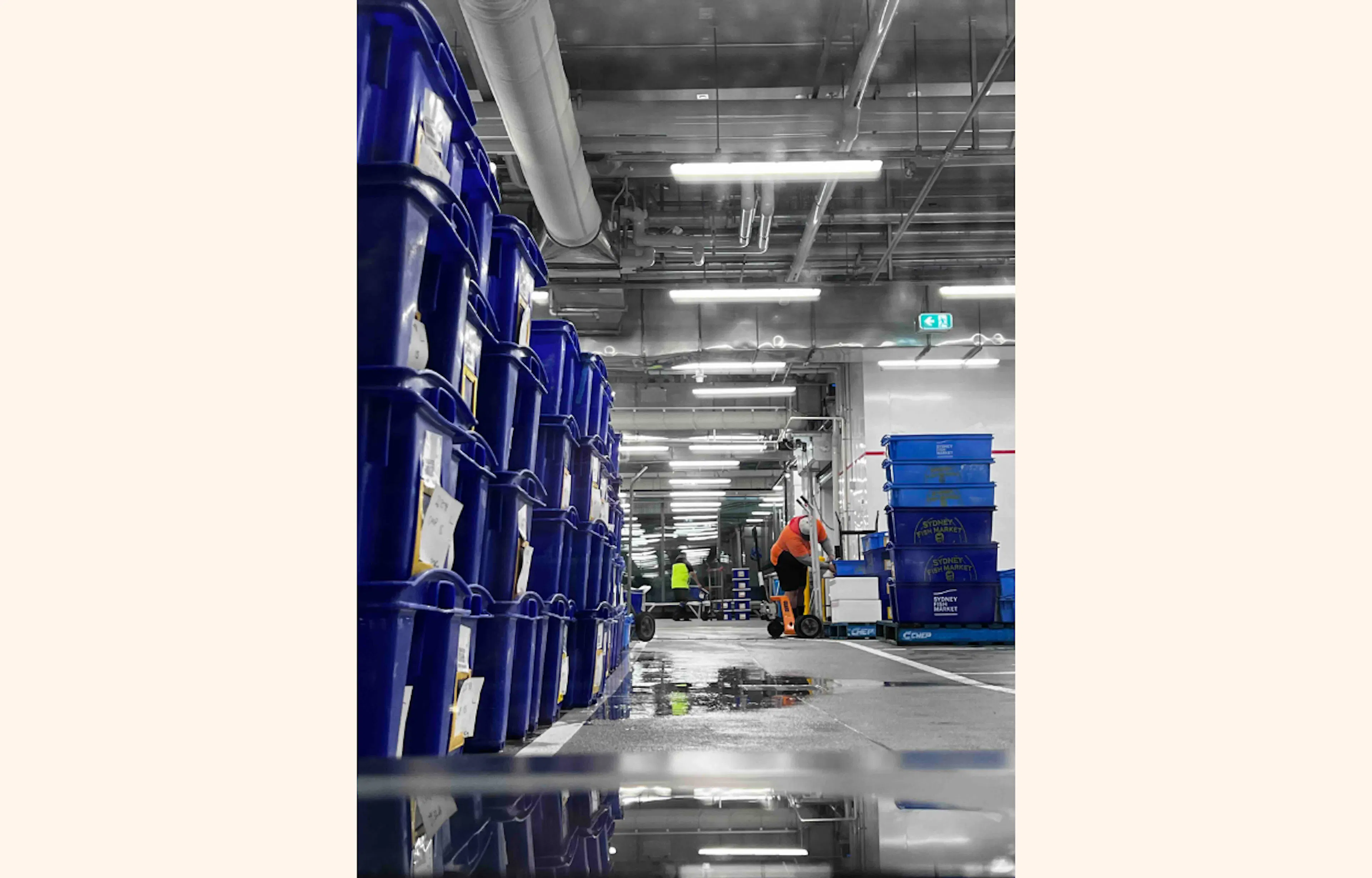 Photo of trading floor with blue tubs.
