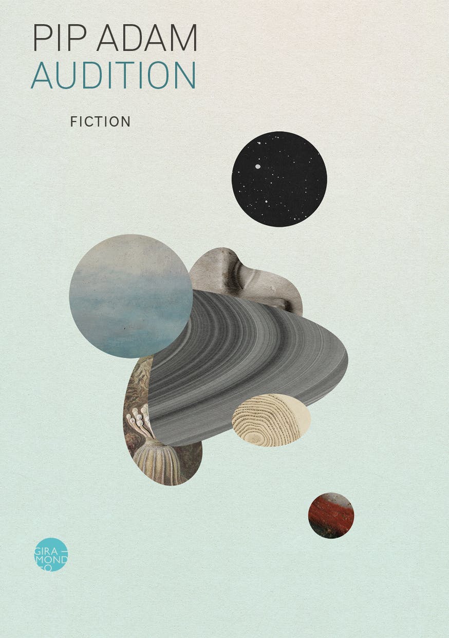 Book Cover for Audition by Pip Adam
