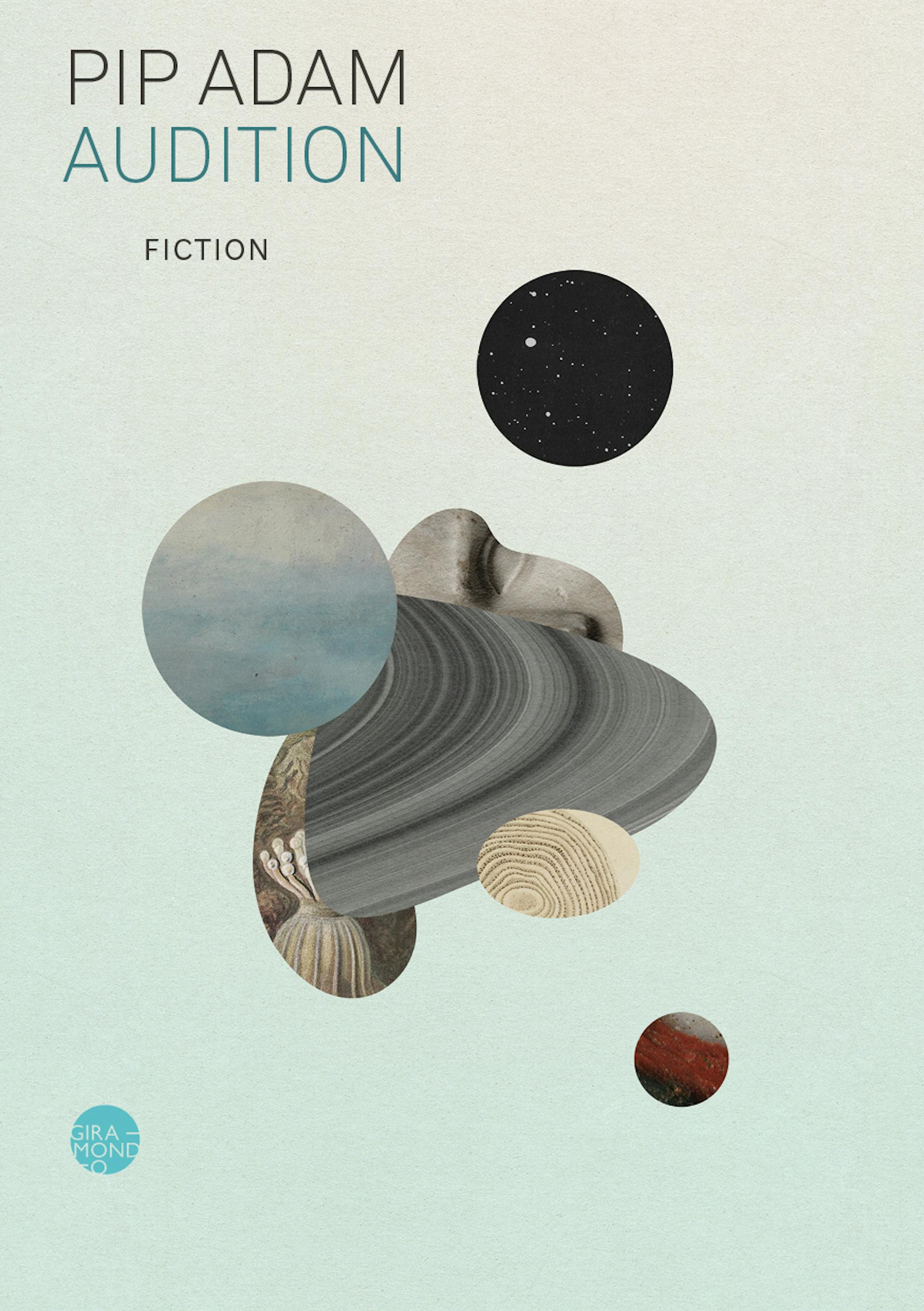 Book Cover for Audition by Pip Adam