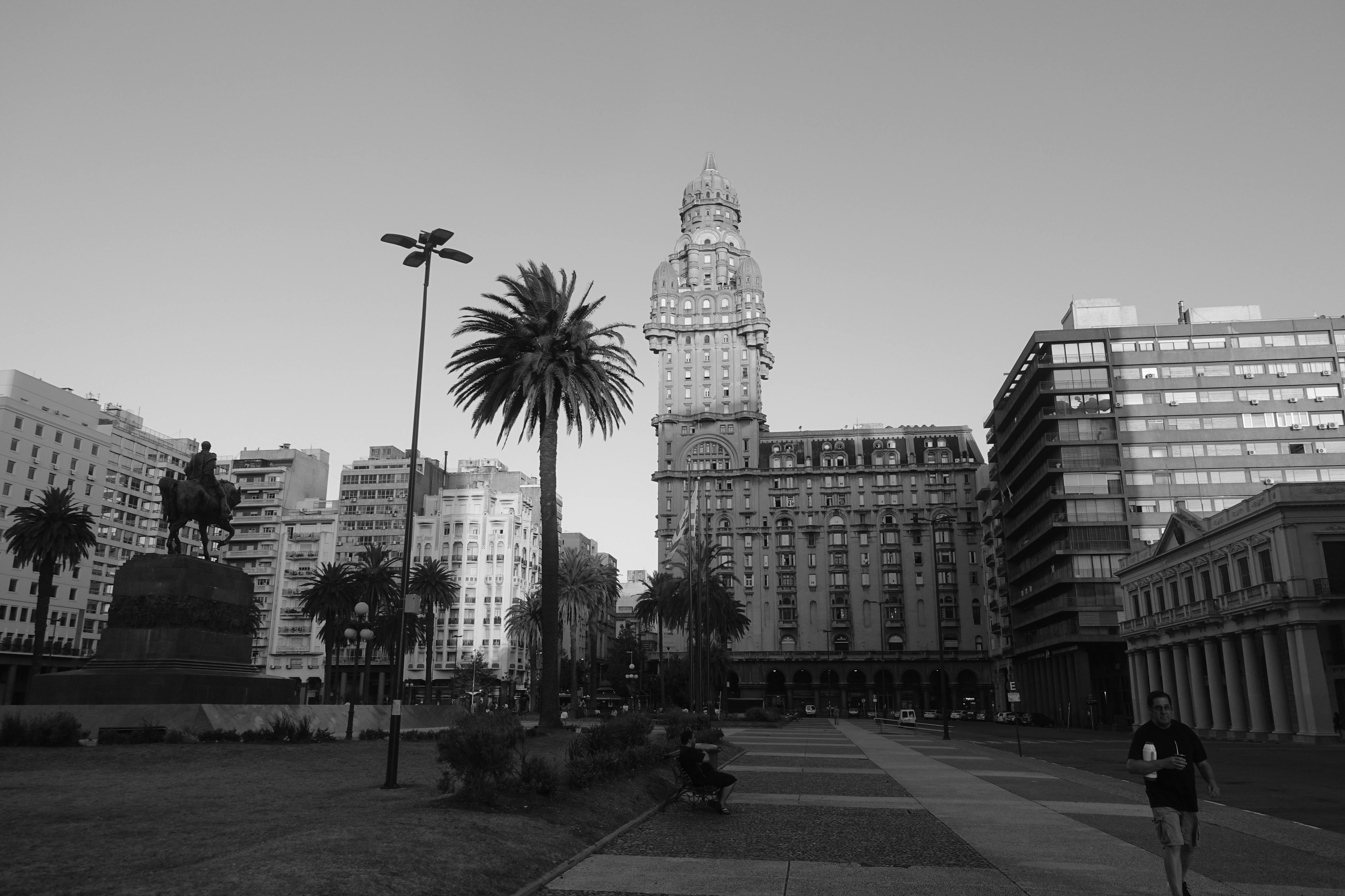 Black and white photograph of Plaza Independencia in Montevideo. In front, there is a walking path, a grass area with a statue, and palm trees of varying heights.