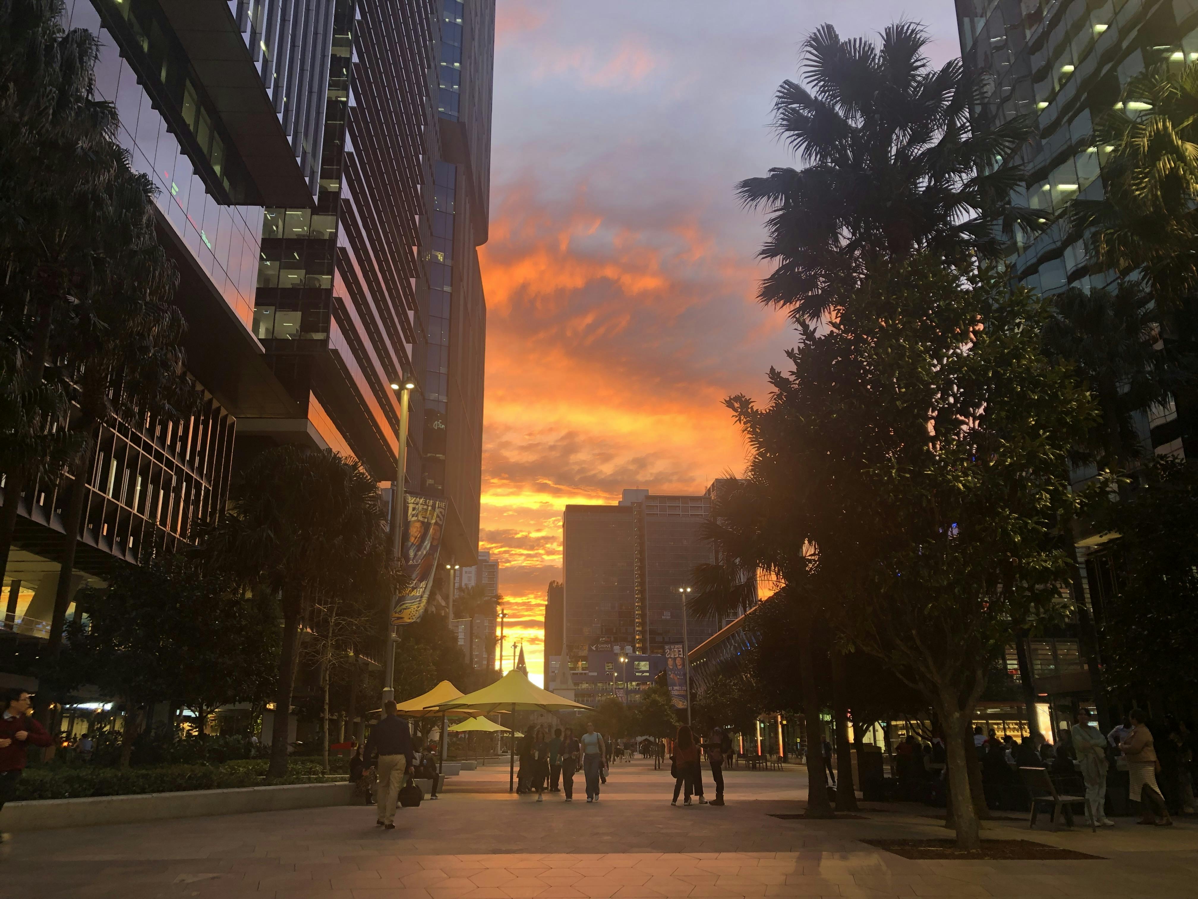 Full-colour sunset photo of Parramatta Square with a deep orange and blue sky, and palm trees in the foreground.