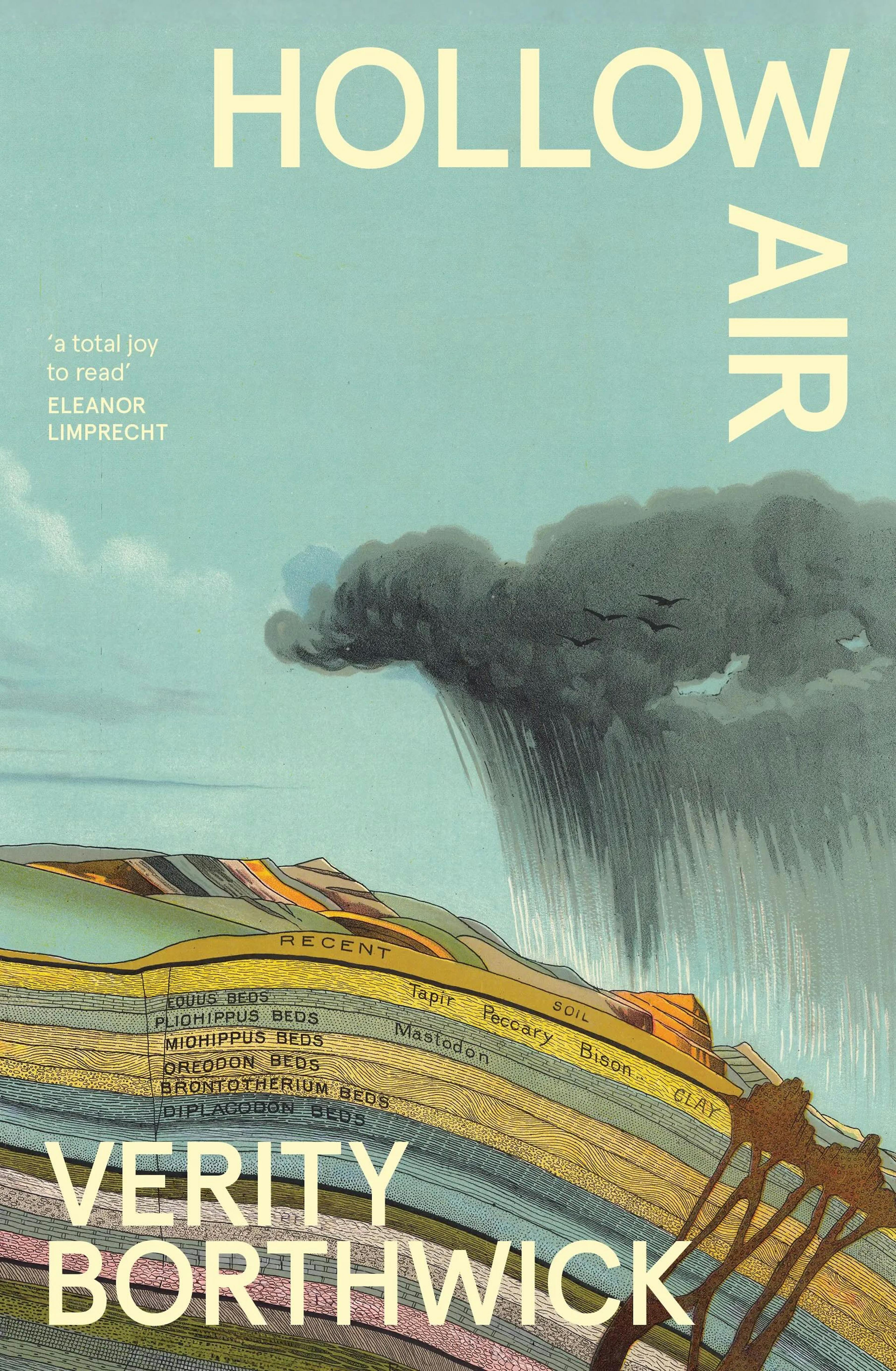 Book cover for Hollow Air by Verity Borthwick