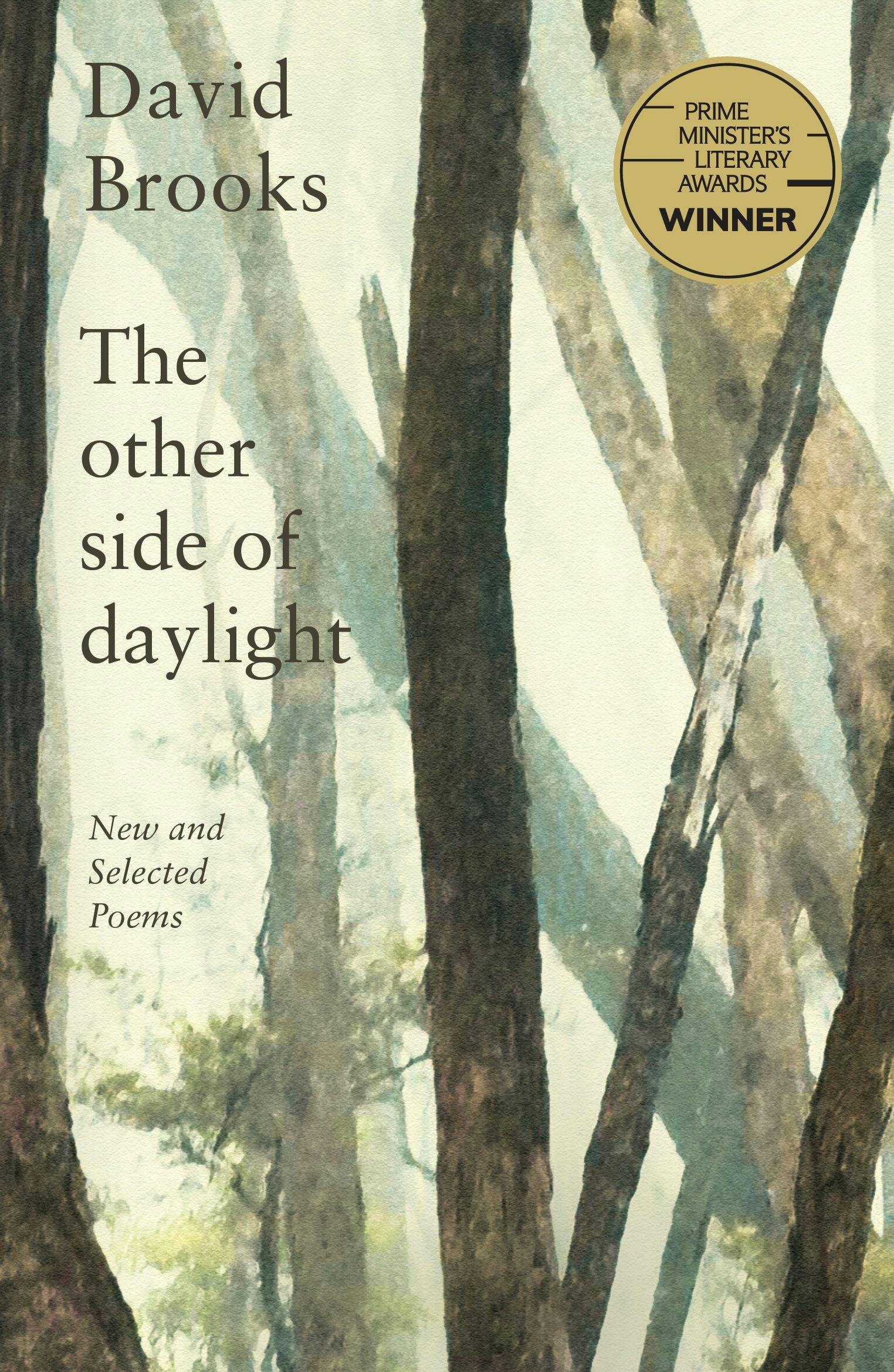 Book cover for 'The Other Side of Daylight' by David Brooks