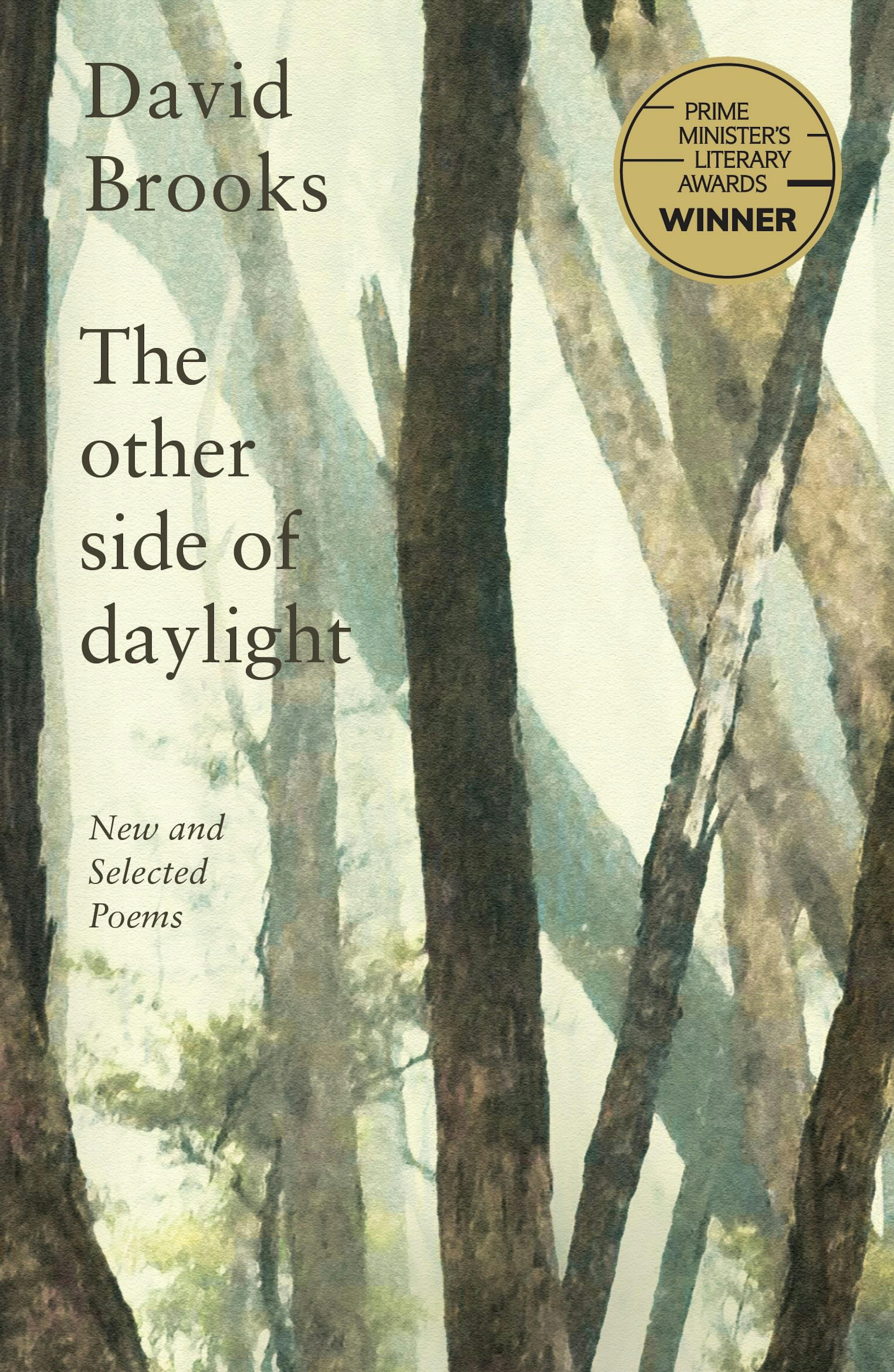 Book cover for 'The Other Side of Daylight' by David Brooks