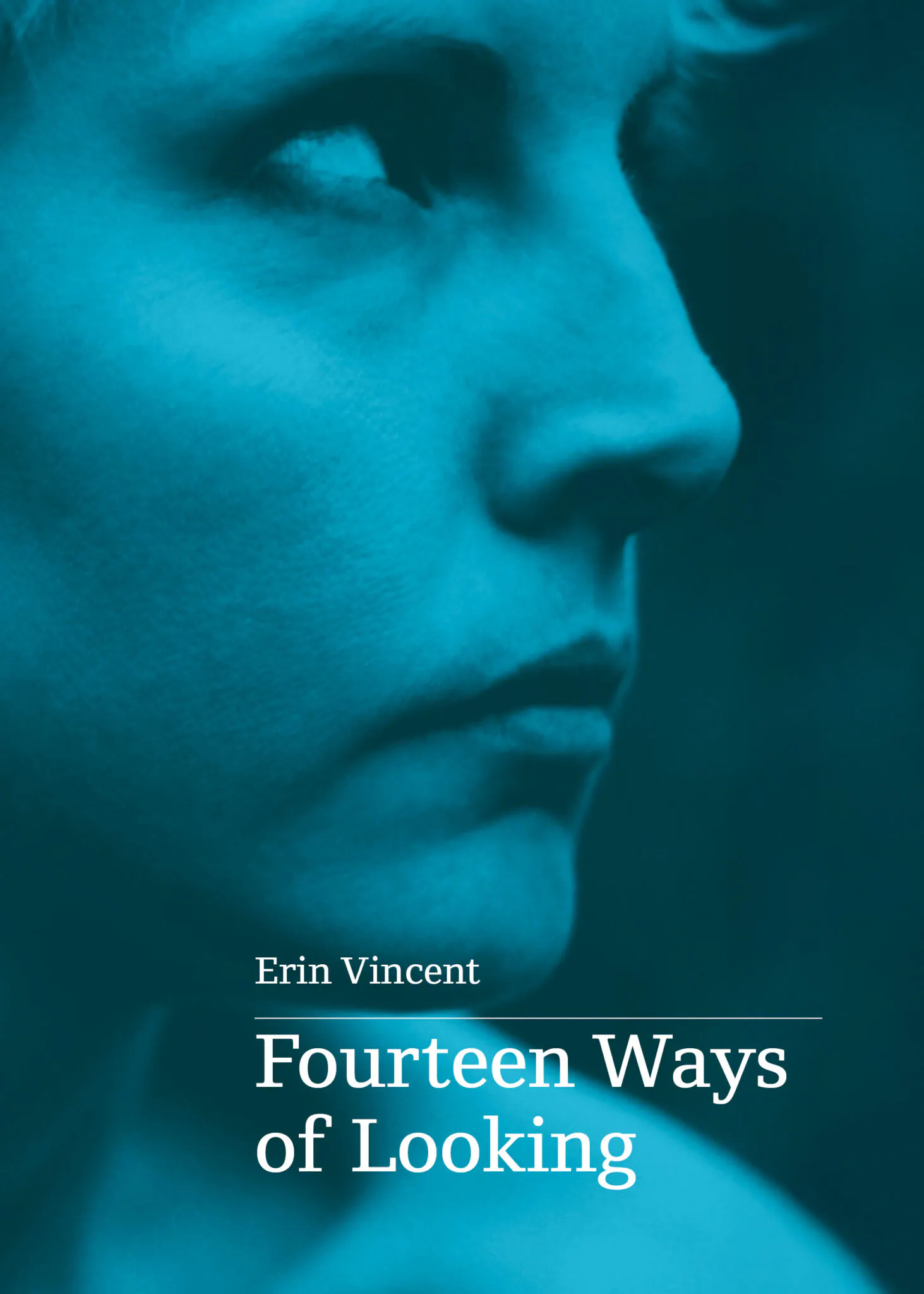 Book cover for 'Fourteen Ways of Looking' by Erin Vincent