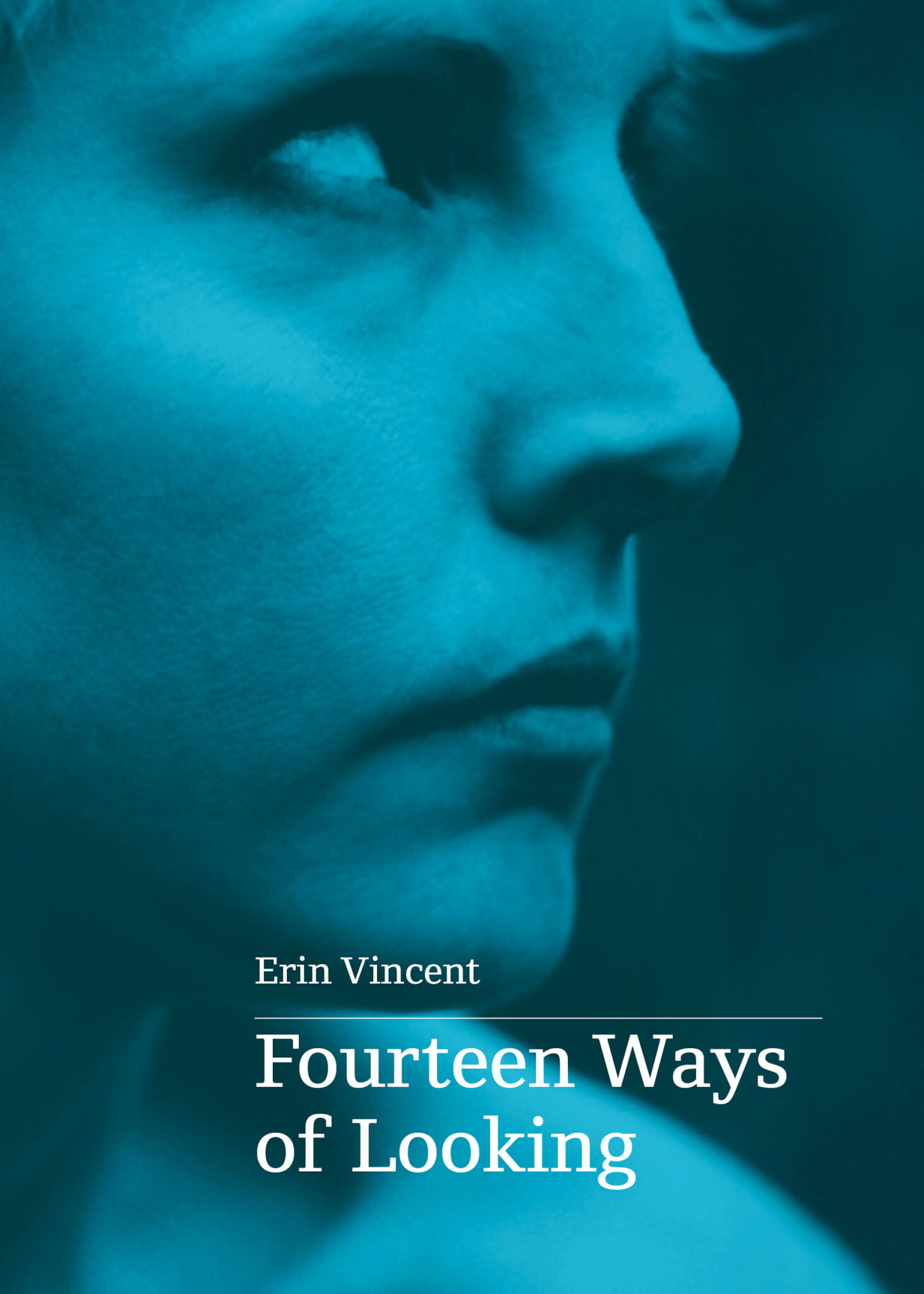 Book cover for 'Fourteen Ways of Looking' by Erin Vincent