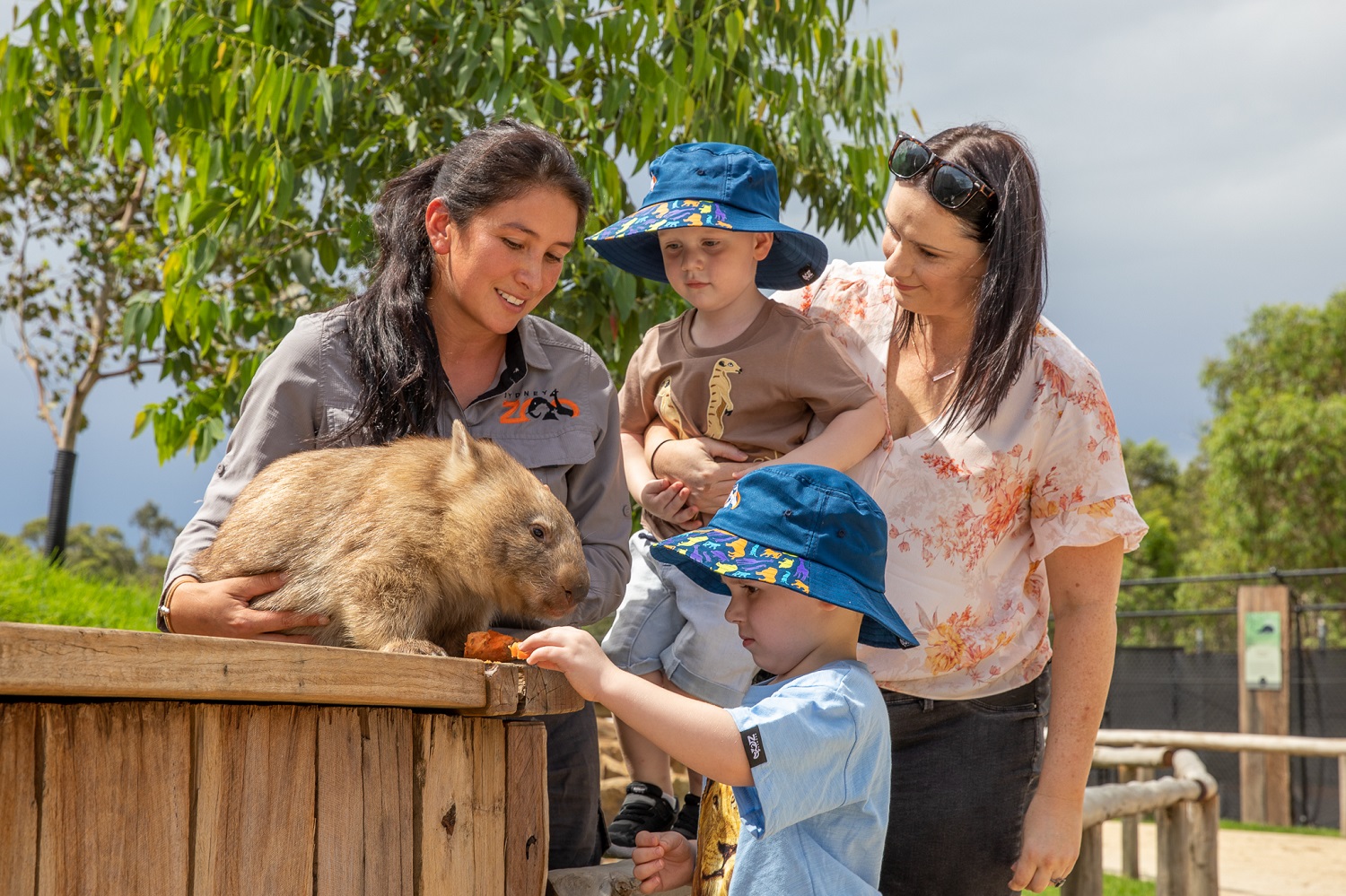 Sydney Zoo Careers