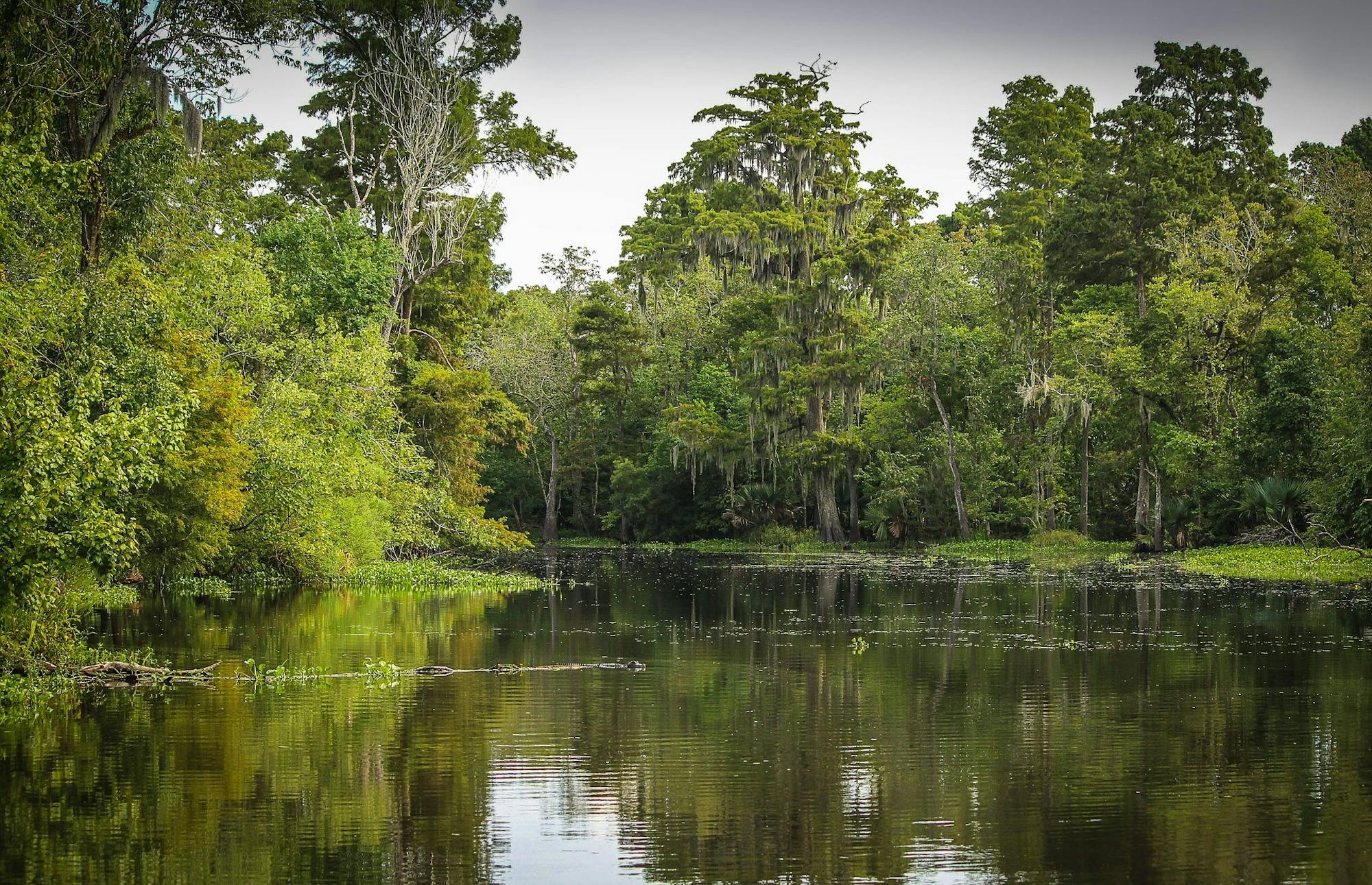 Louisiana