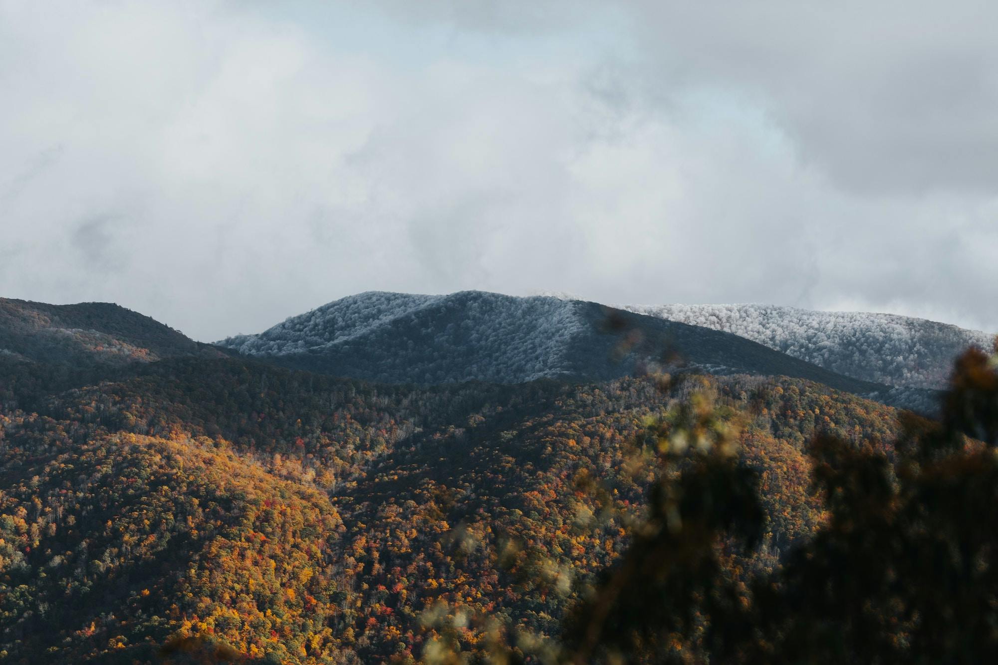 North Carolina