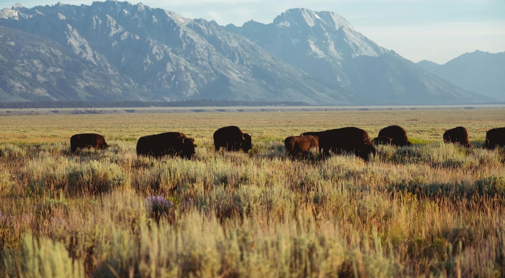 Wyoming