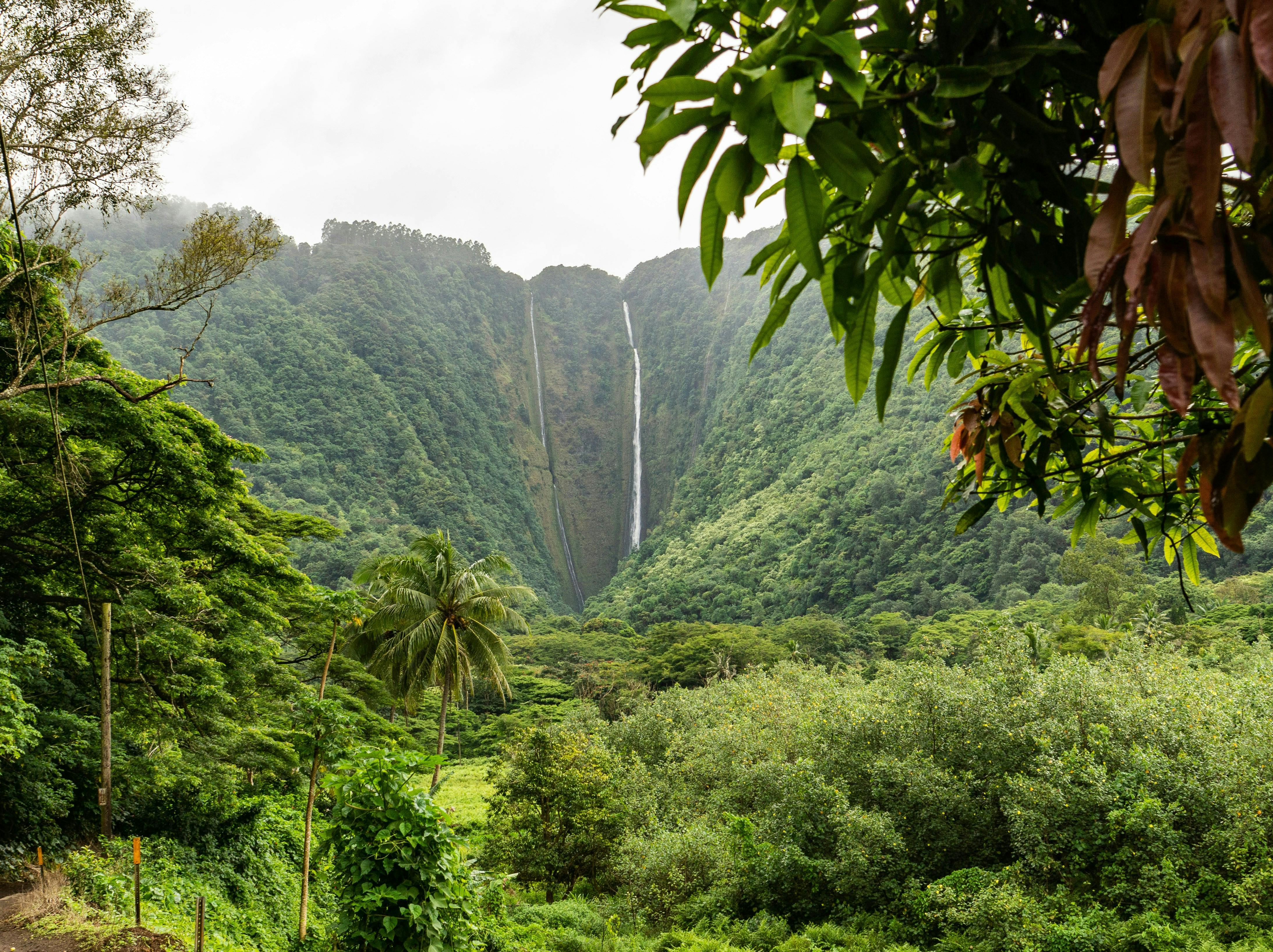 Hawaii