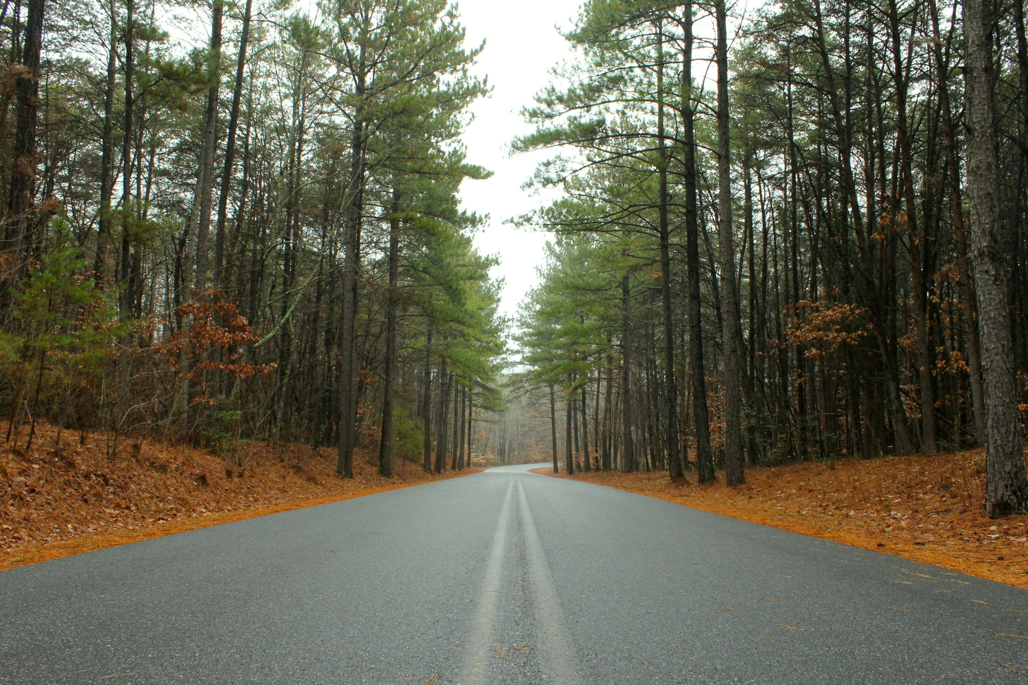 North Carolina