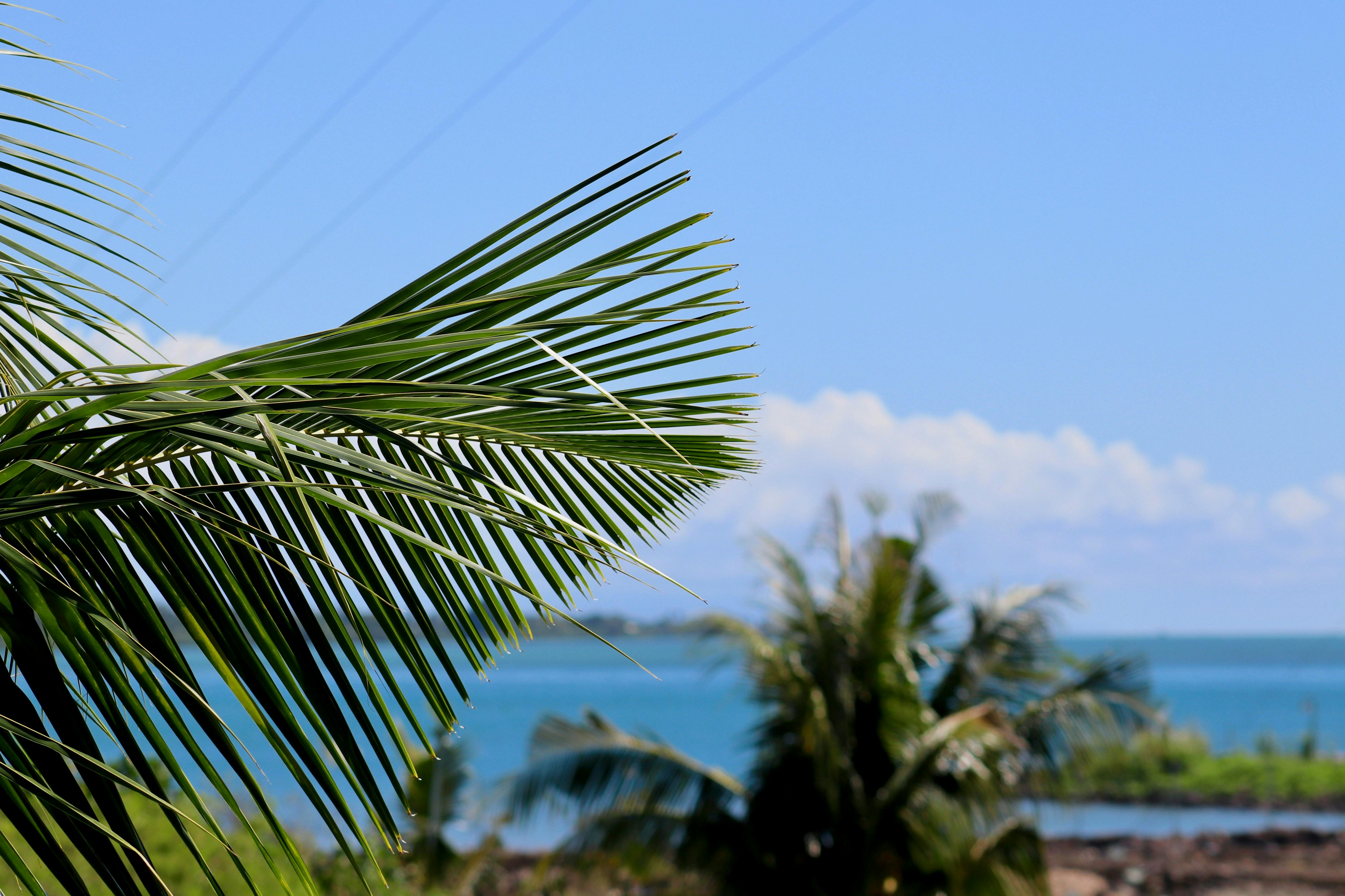 American Samoa