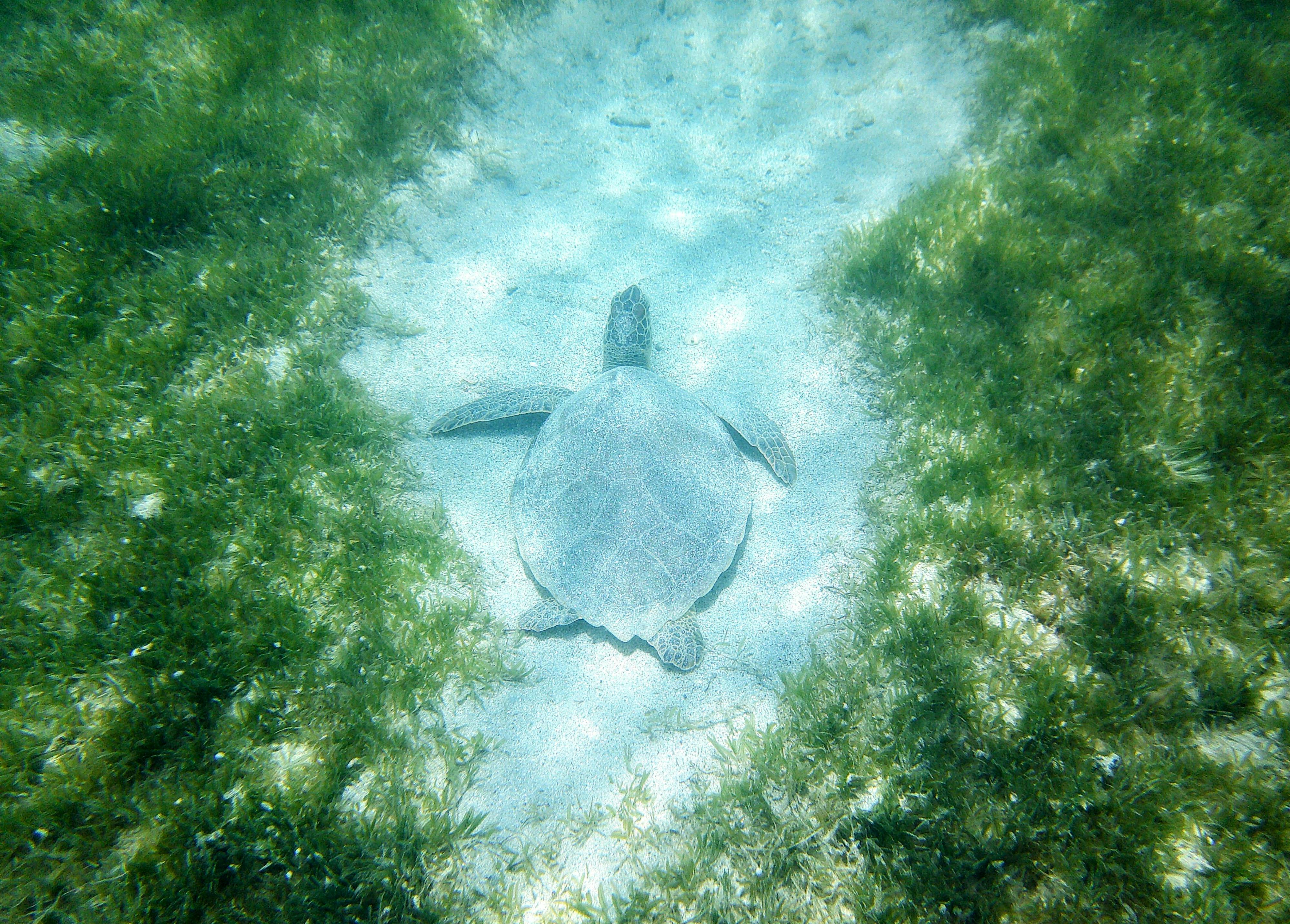 US Virgin Islands