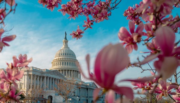 Washington DC
