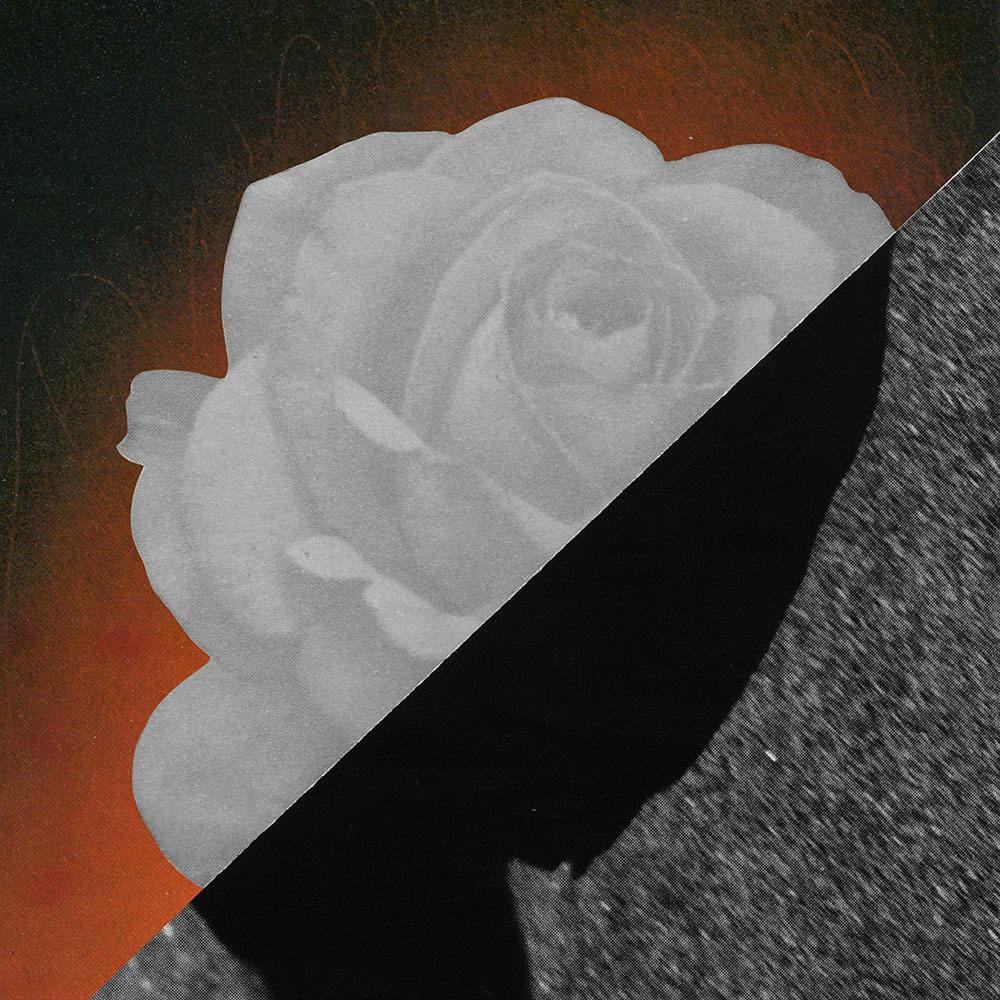 synckop; flower; collage